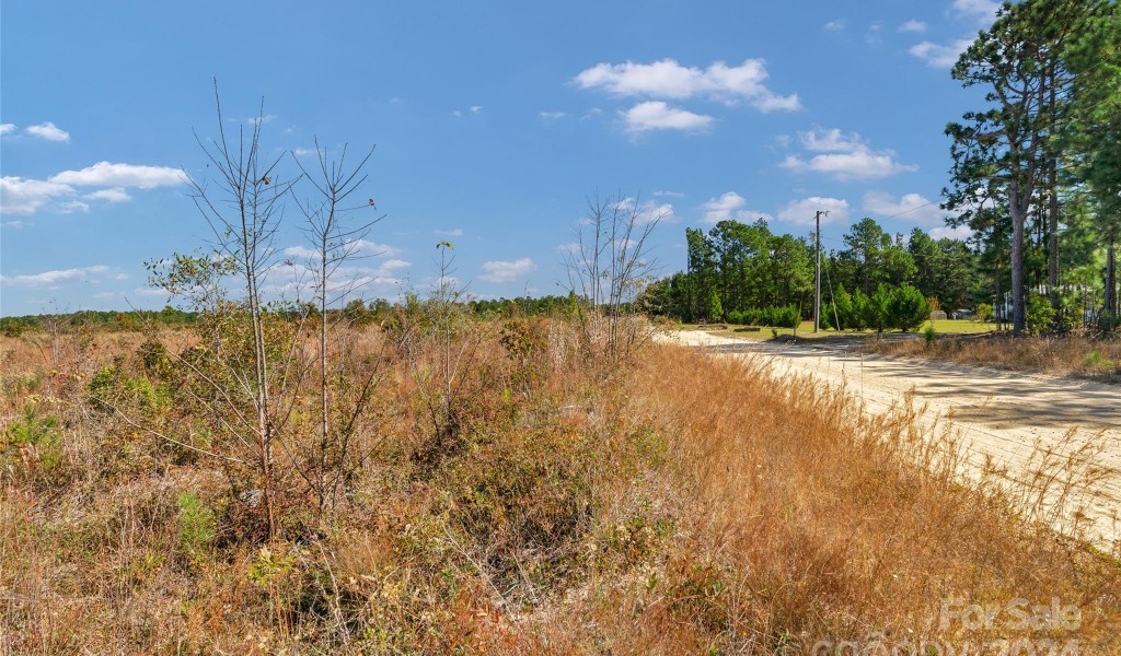 0000 Riley Road #5, Chesterfield, South Carolina image 11