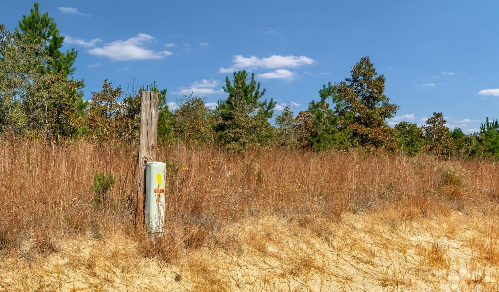 0000 Riley Road #5, Chesterfield, South Carolina image 17