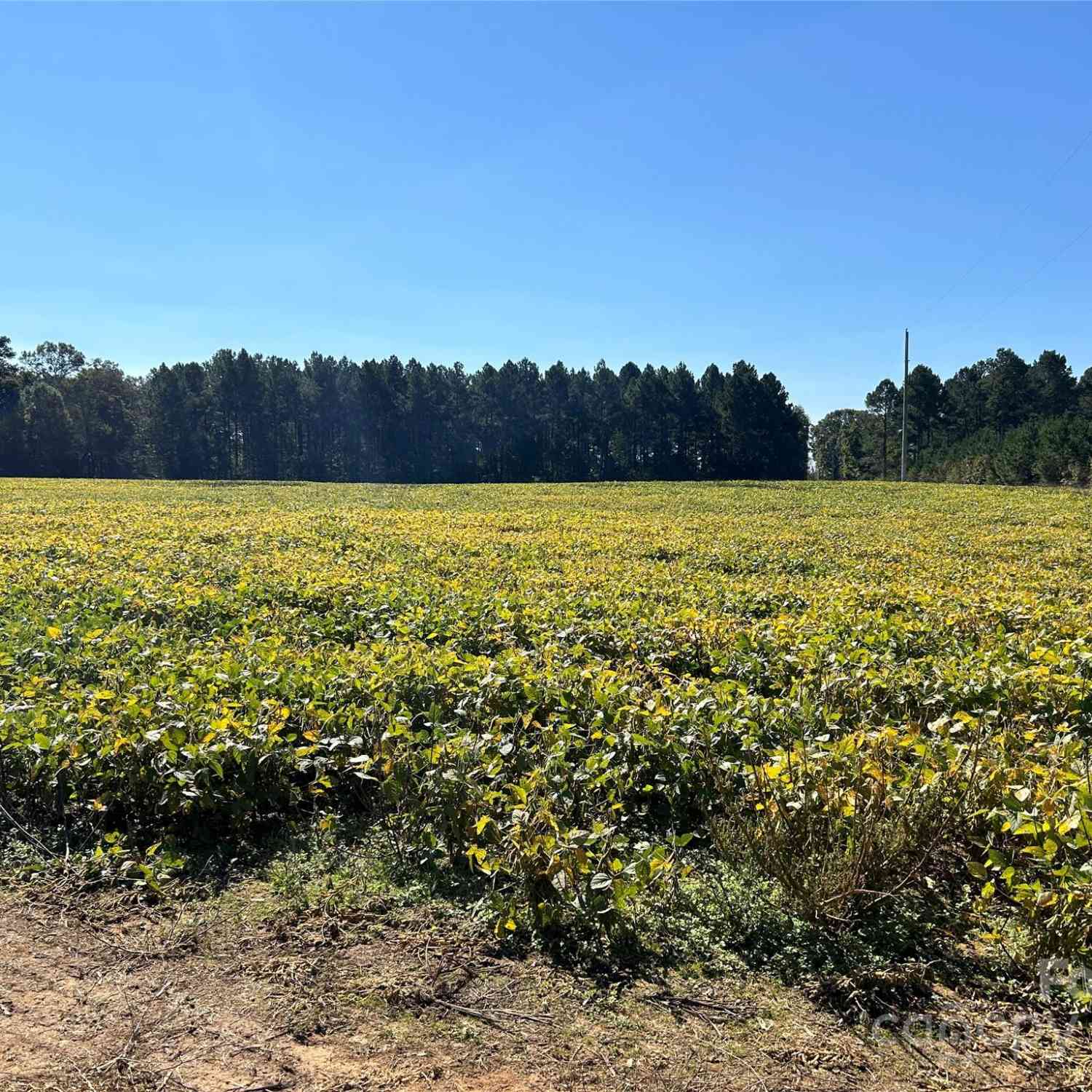 01 Ramsey Road, Albemarle, North Carolina image 14