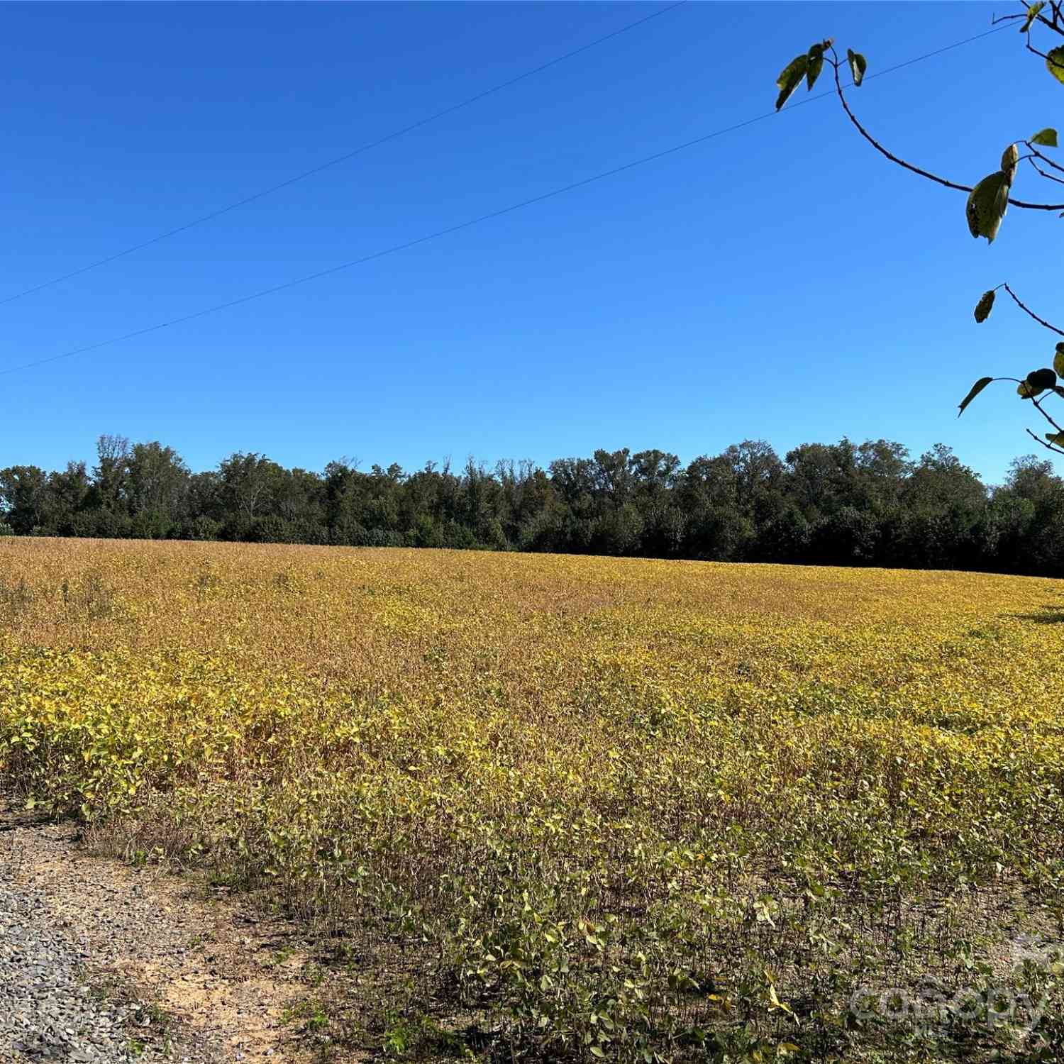 01 Ramsey Road, Albemarle, North Carolina image 12