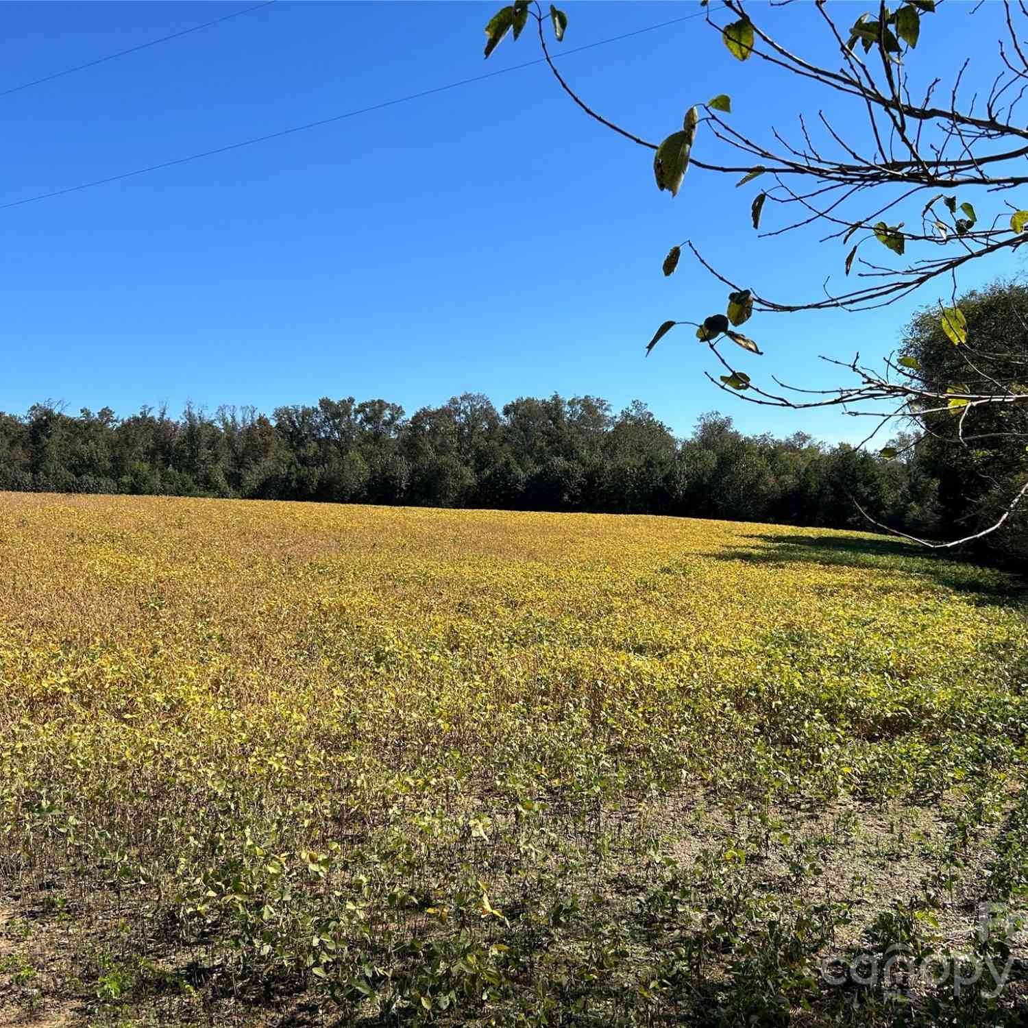 01 Ramsey Road, Albemarle, North Carolina image 11