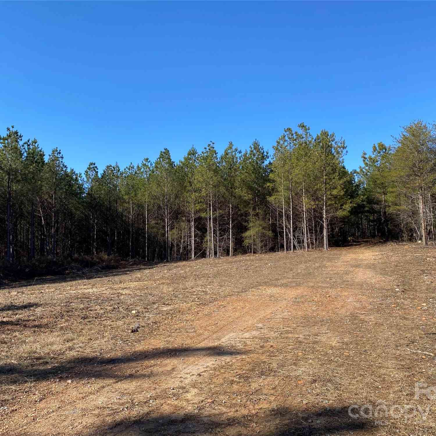 430 Moss Trail Drive, Blacksburg, South Carolina image 9