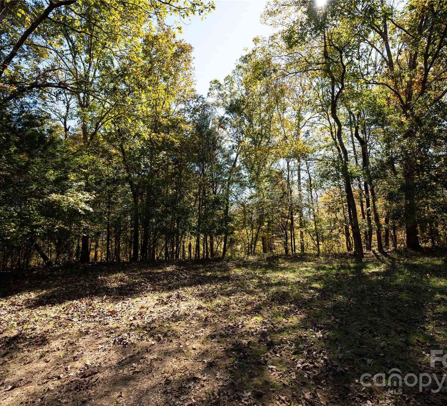 1111 & 1075 Turkey Creek Ridge Road, New York, South Carolina image 17