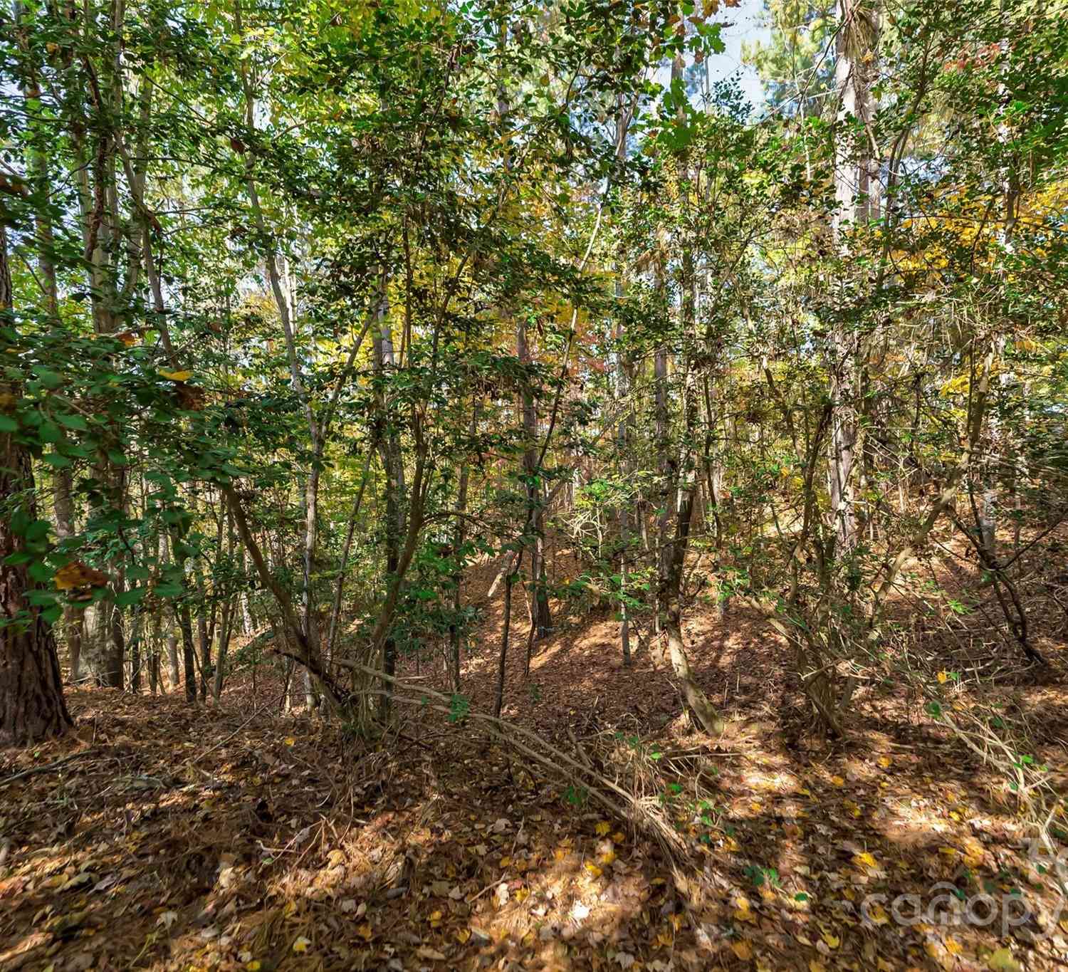 2393 W Paradise Harbor Drive #22, Connelly Springs, North Carolina image 11