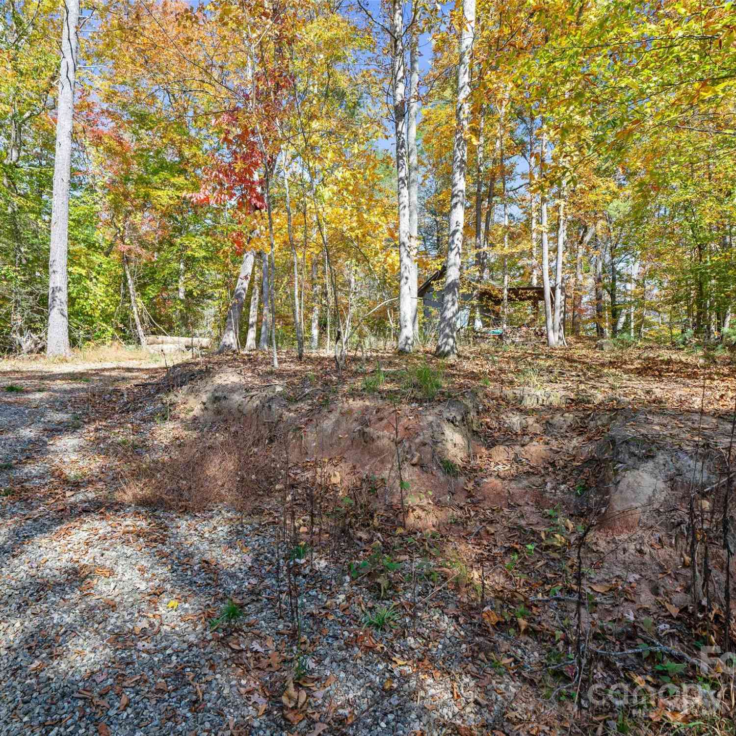 99999 Badger Trail, Weaverville, North Carolina image 9