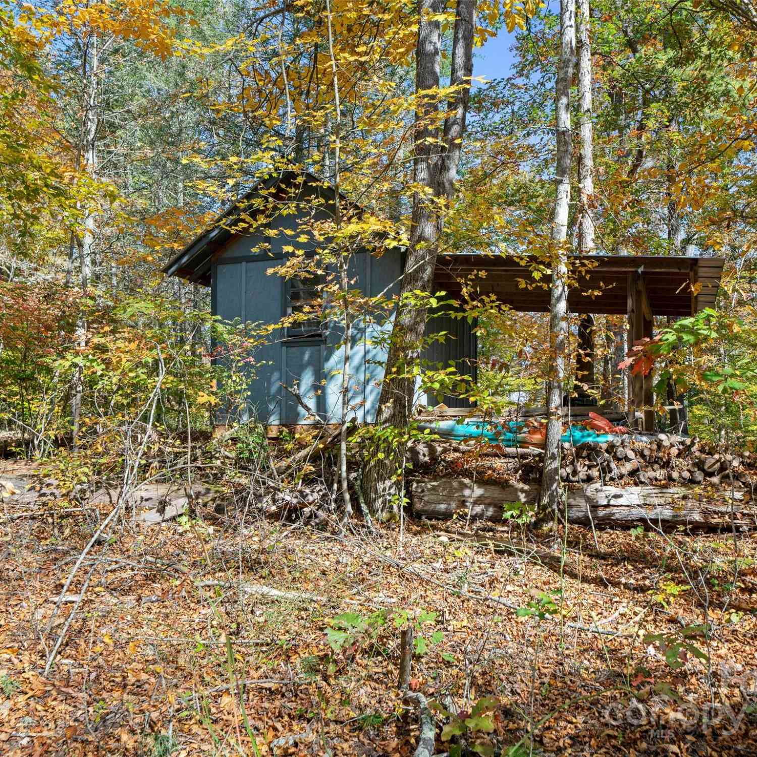 99999 Badger Trail, Weaverville, North Carolina image 8