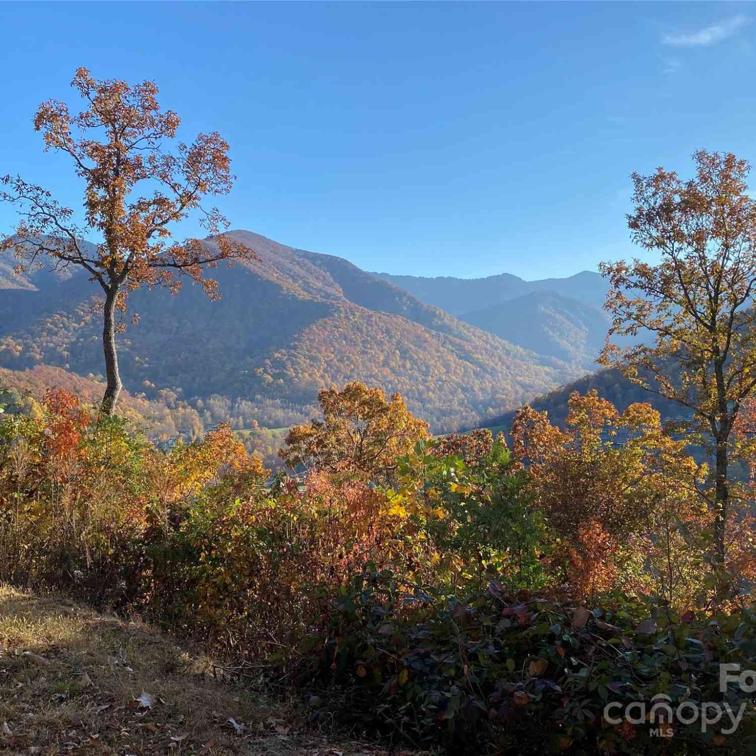 40 Cougar Lane #13,14,15,16, Maggie Valley, North Carolina image 19