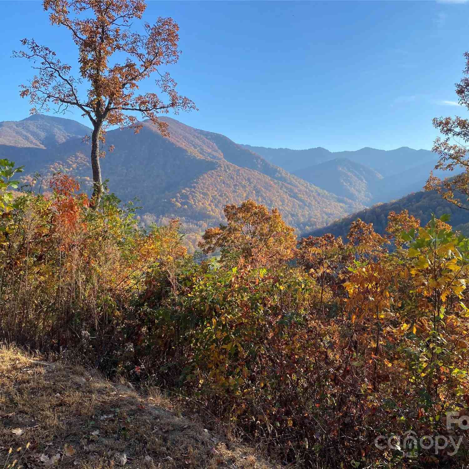 40 Cougar Lane #13,14,15,16, Maggie Valley, North Carolina image 18