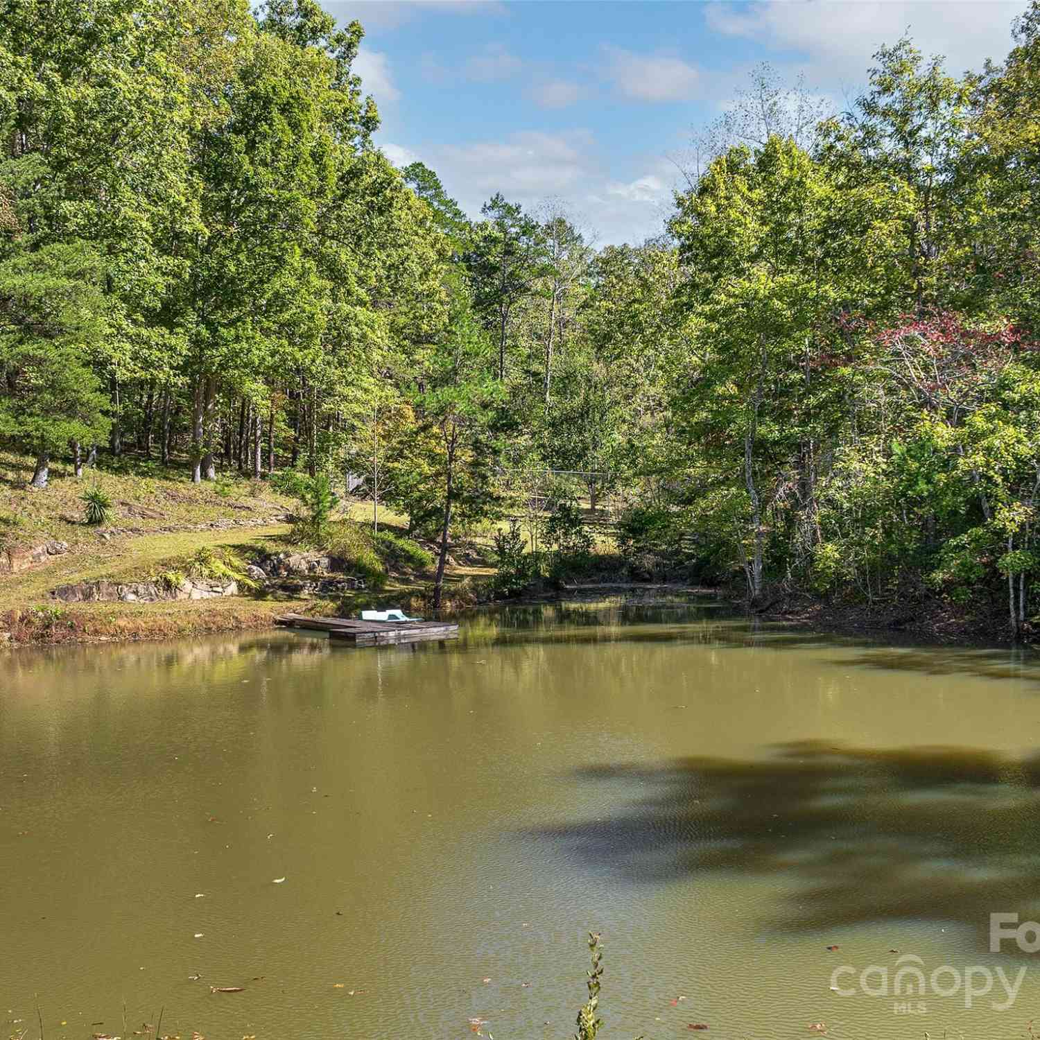 733 Hidden Hills Drive, Rutherfordton, North Carolina image 8