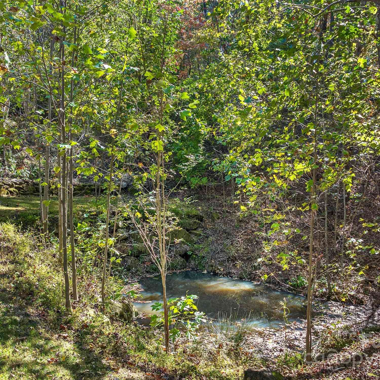 733 Hidden Hills Drive, Rutherfordton, North Carolina image 9