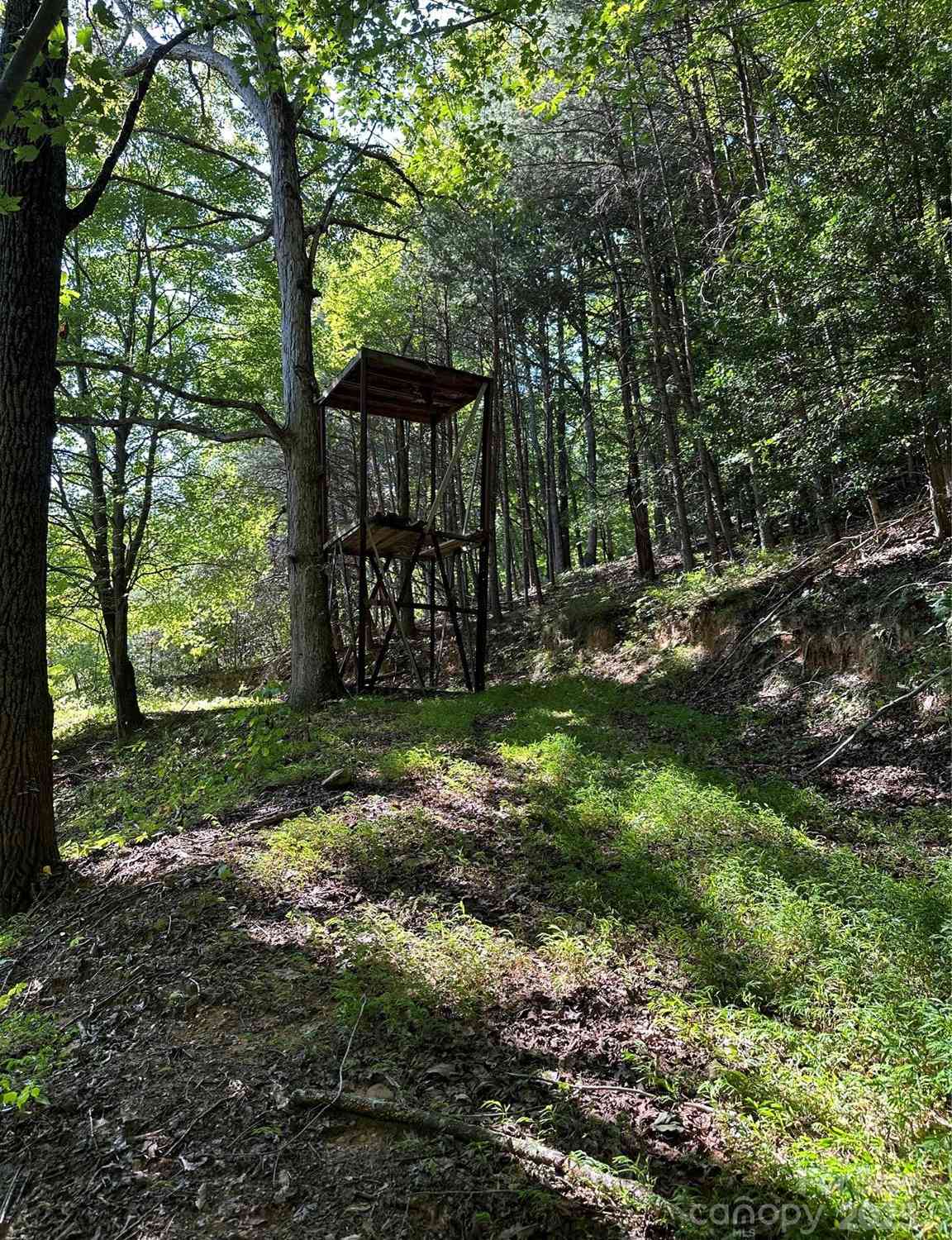 2909 Pine Mountain Drive, Connelly Springs, North Carolina image 13