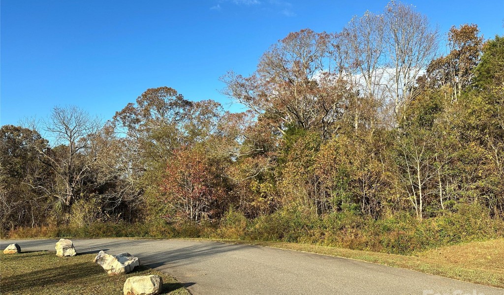 168 Pumice Drive #20, Statesville, North Carolina image 4