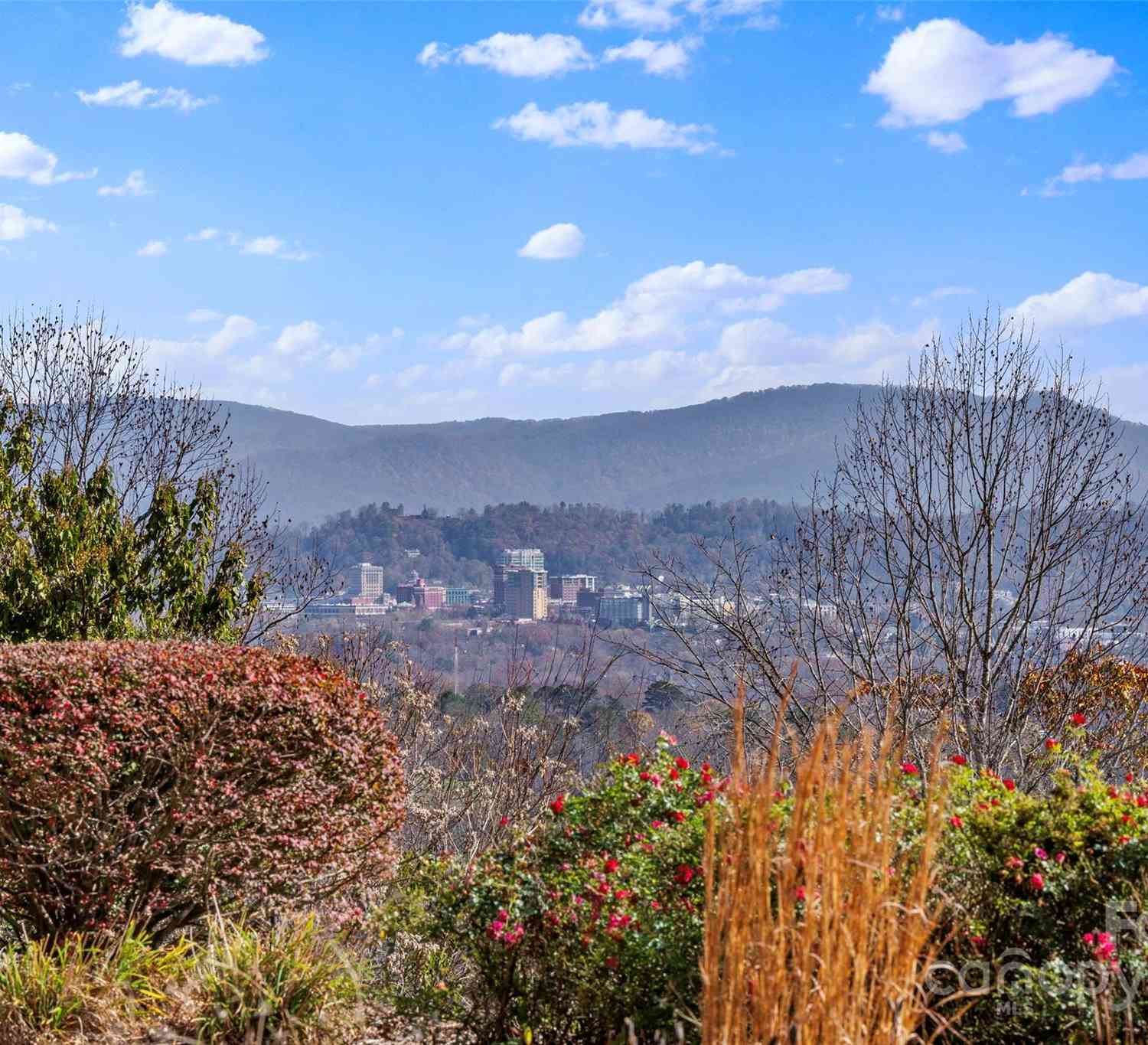 4 Chimney Crest Drive #J, Asheville, North Carolina image 5