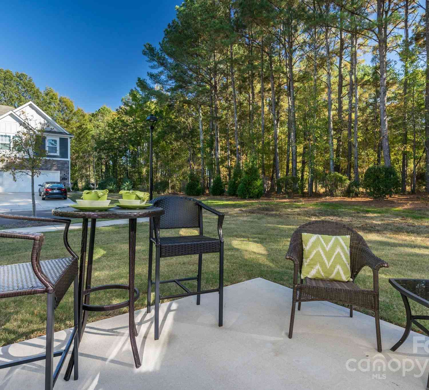 278 Harpers Run Lane, Matthews, North Carolina image 37