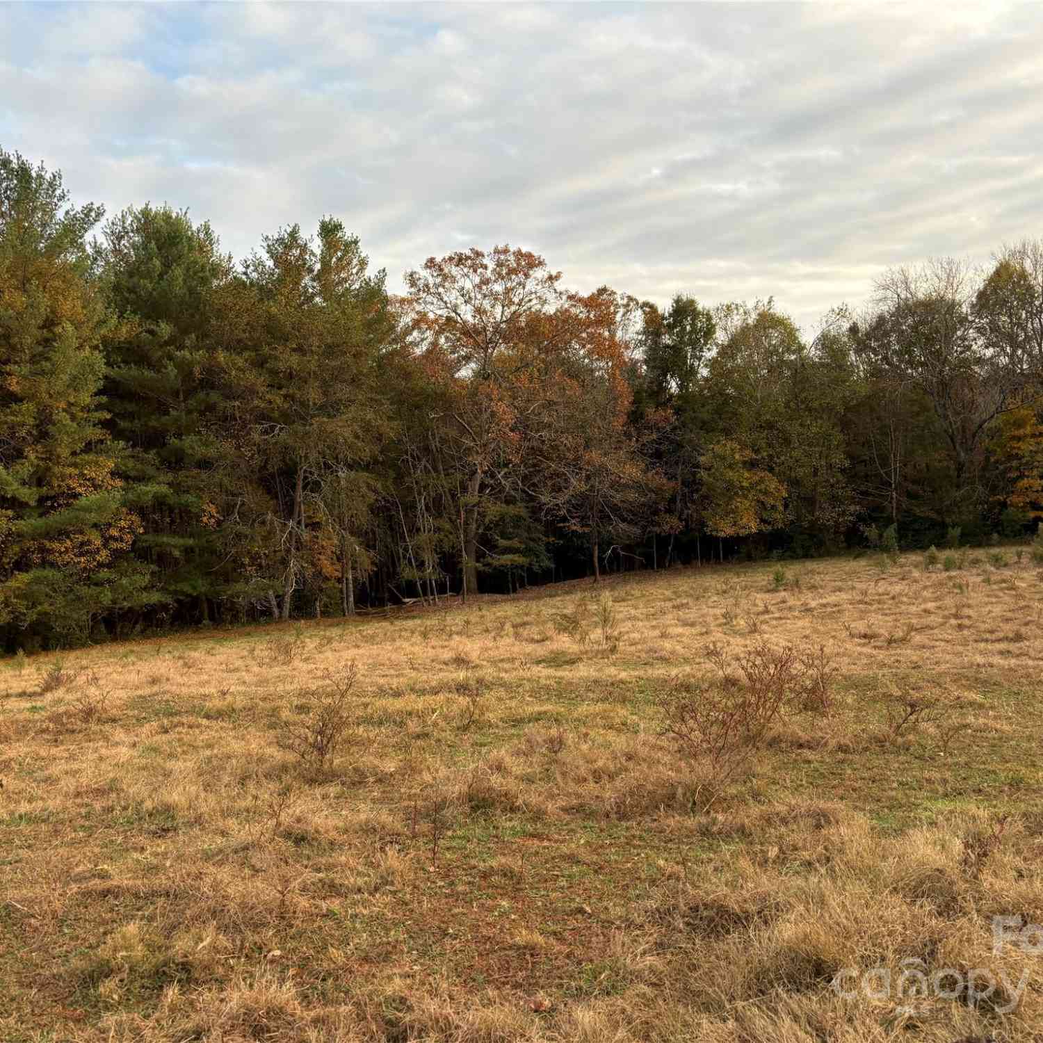 31.19 Acres Boston Road, Taylorsville, North Carolina image 24