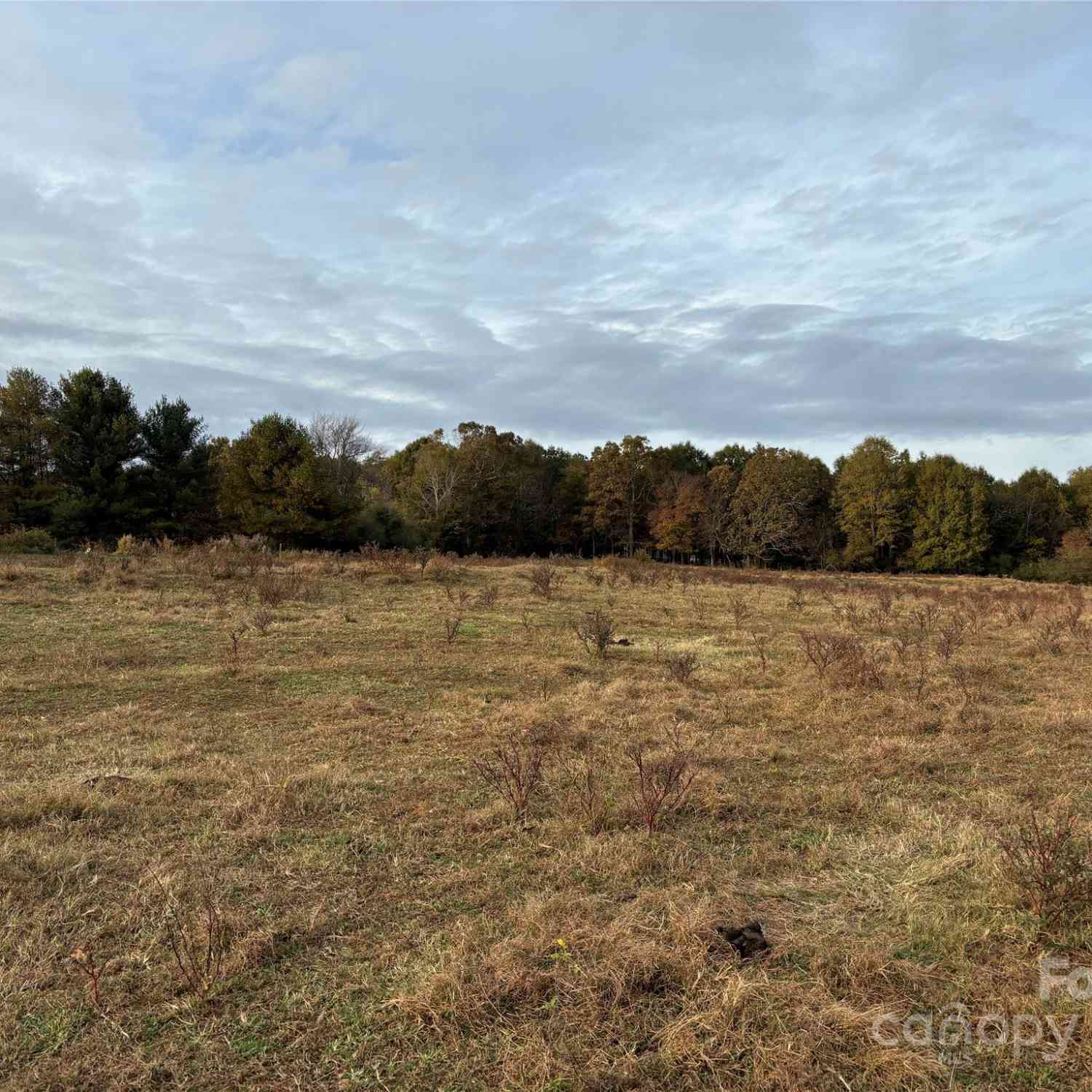 31.19 Acres Boston Road, Taylorsville, North Carolina image 22