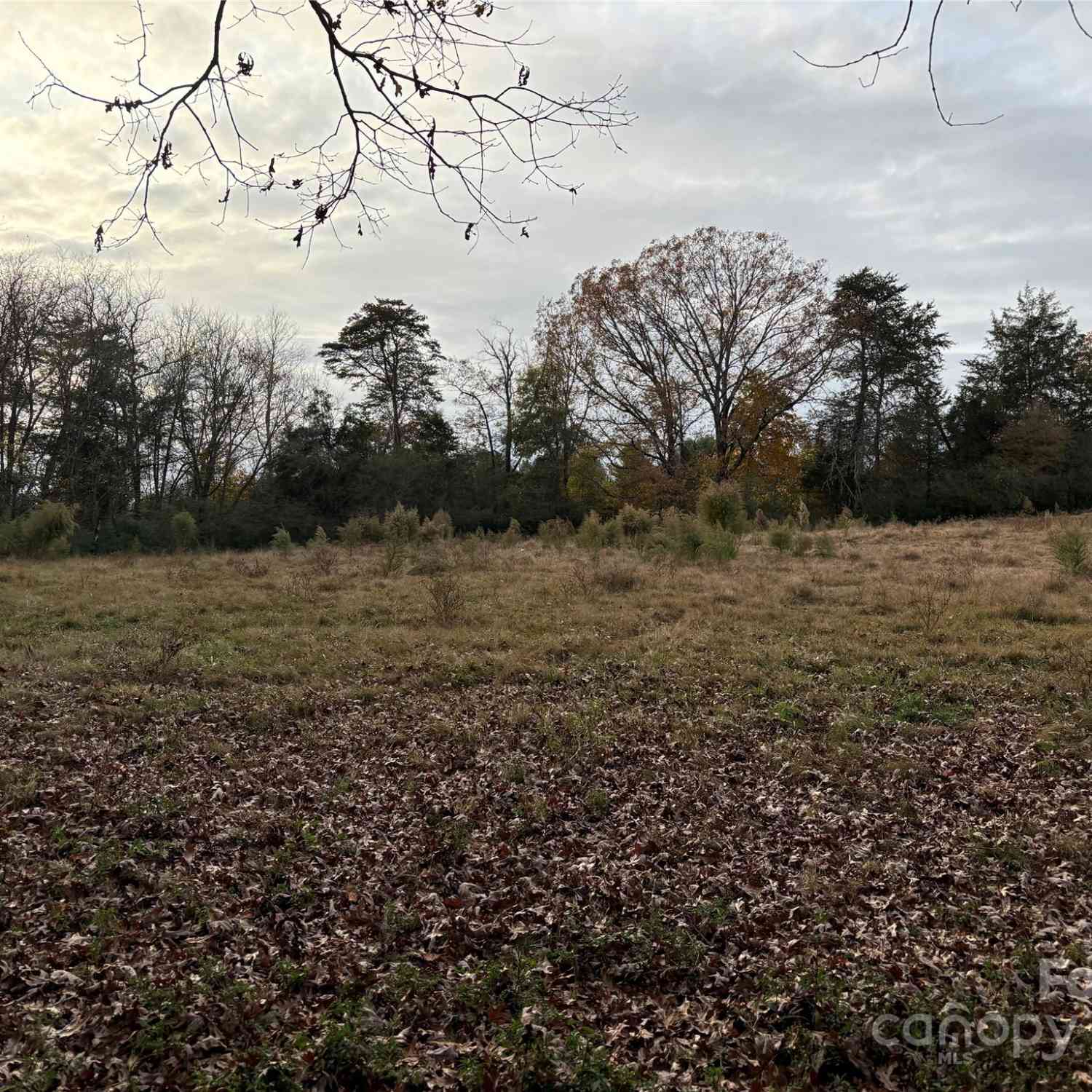 31.19 Acres Boston Road, Taylorsville, North Carolina image 16