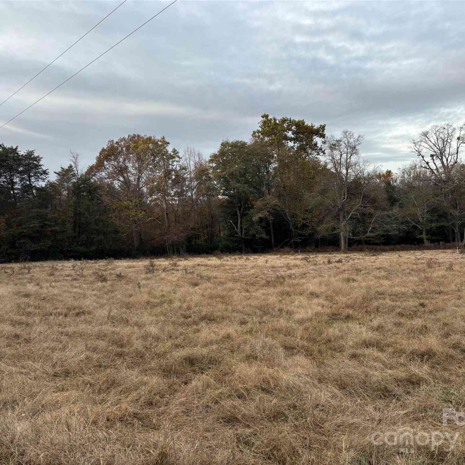 31.19 Acres Boston Road, Taylorsville, North Carolina image 11