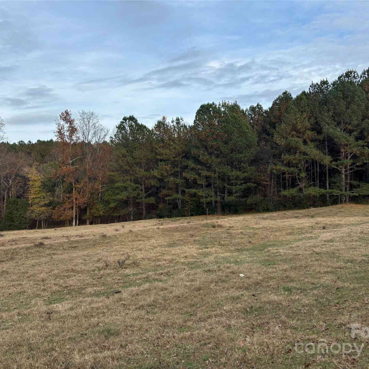 31.19 Acres Boston Road, Taylorsville, North Carolina image 3