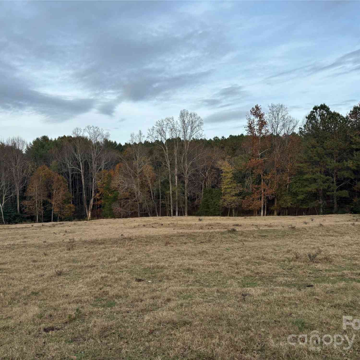 31.19 Acres Boston Road, Taylorsville, North Carolina image 1