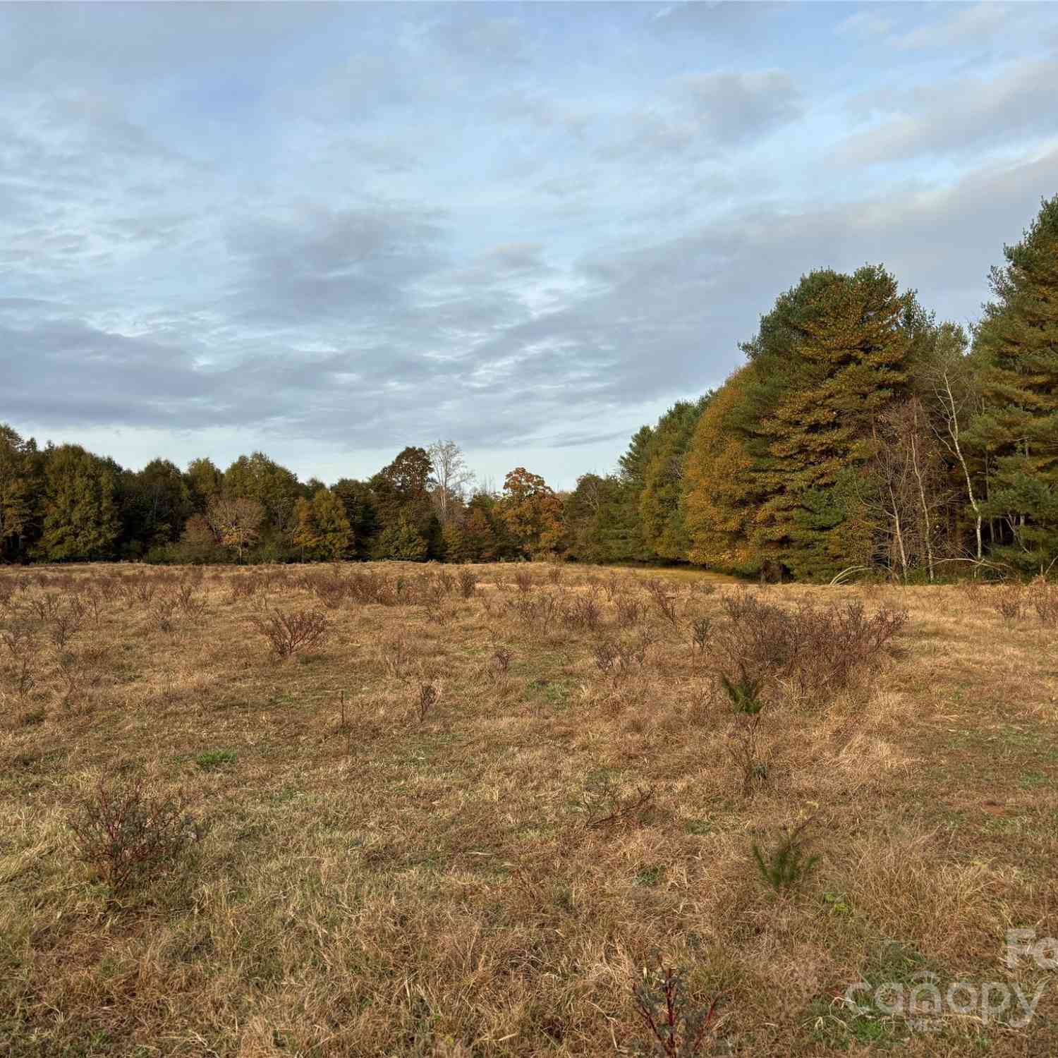 31.19 Acres Boston Road, Taylorsville, North Carolina image 21