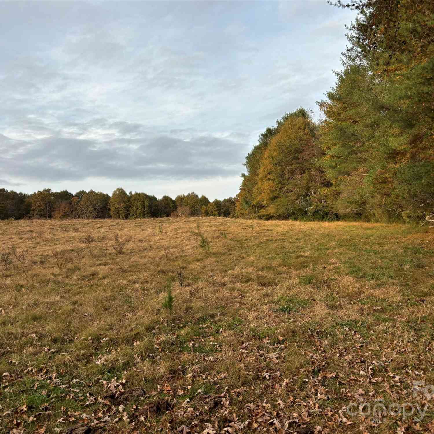 31.19 Acres Boston Road, Taylorsville, North Carolina image 17