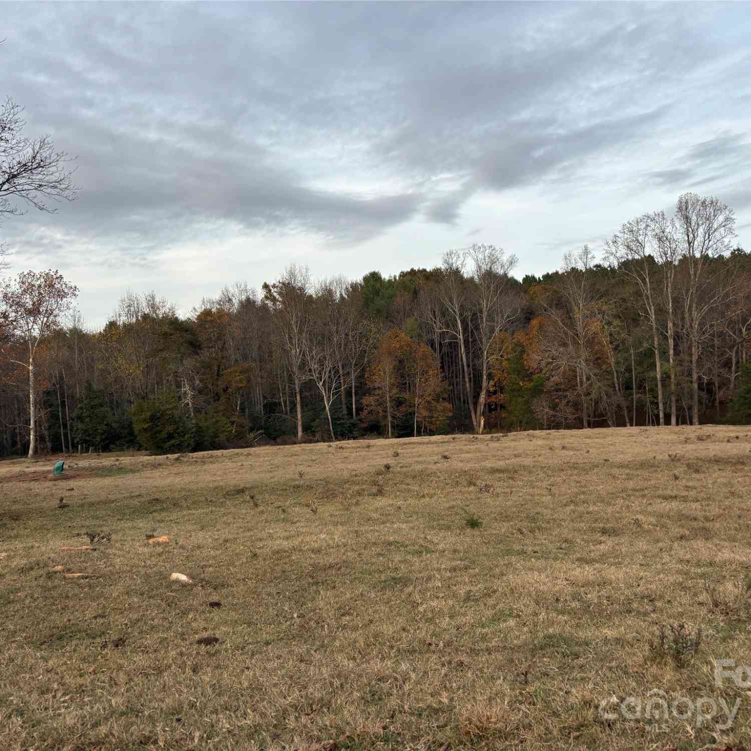 31.19 Acres Boston Road, Taylorsville, North Carolina image 8