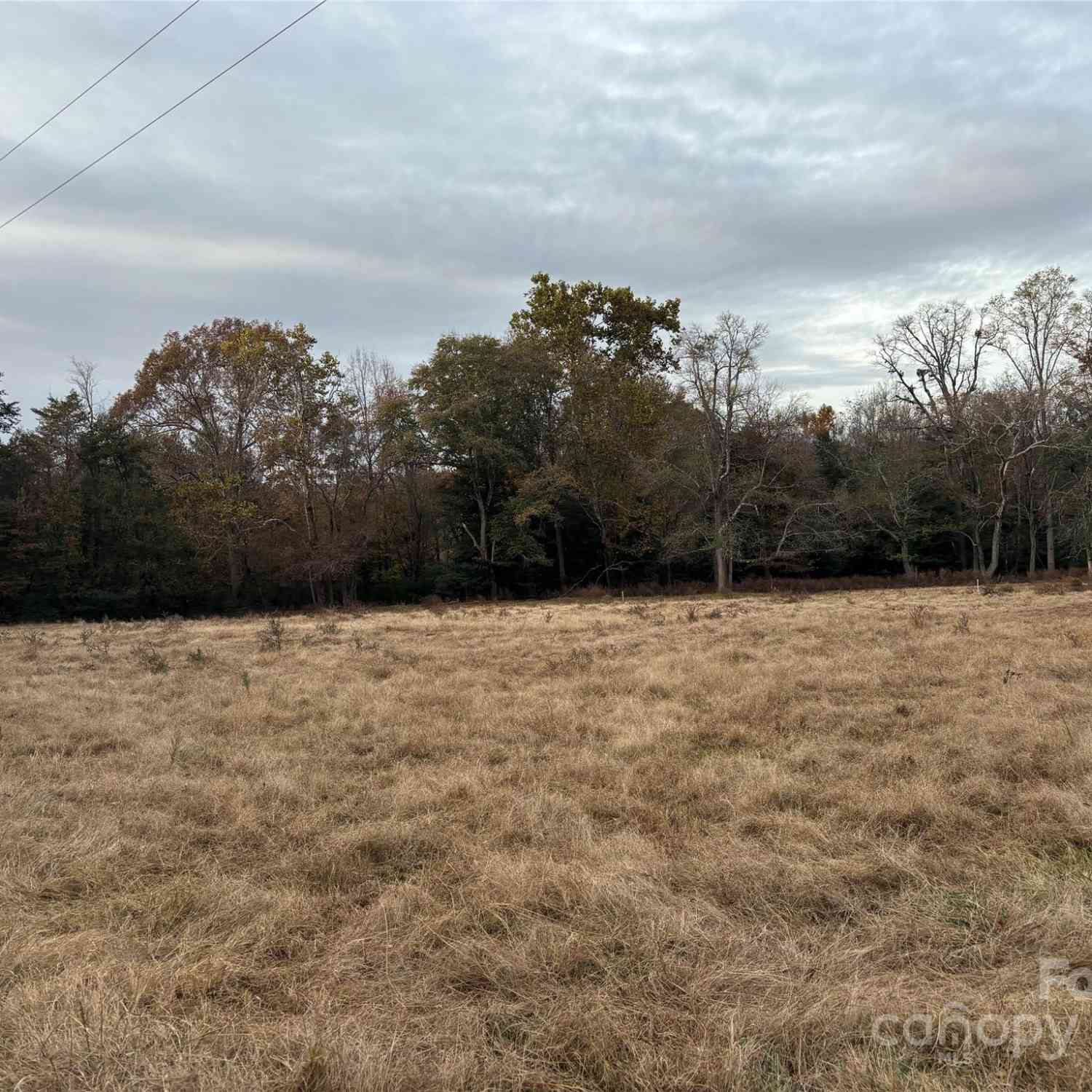 31.19 Acres Boston Road, Taylorsville, North Carolina image 10