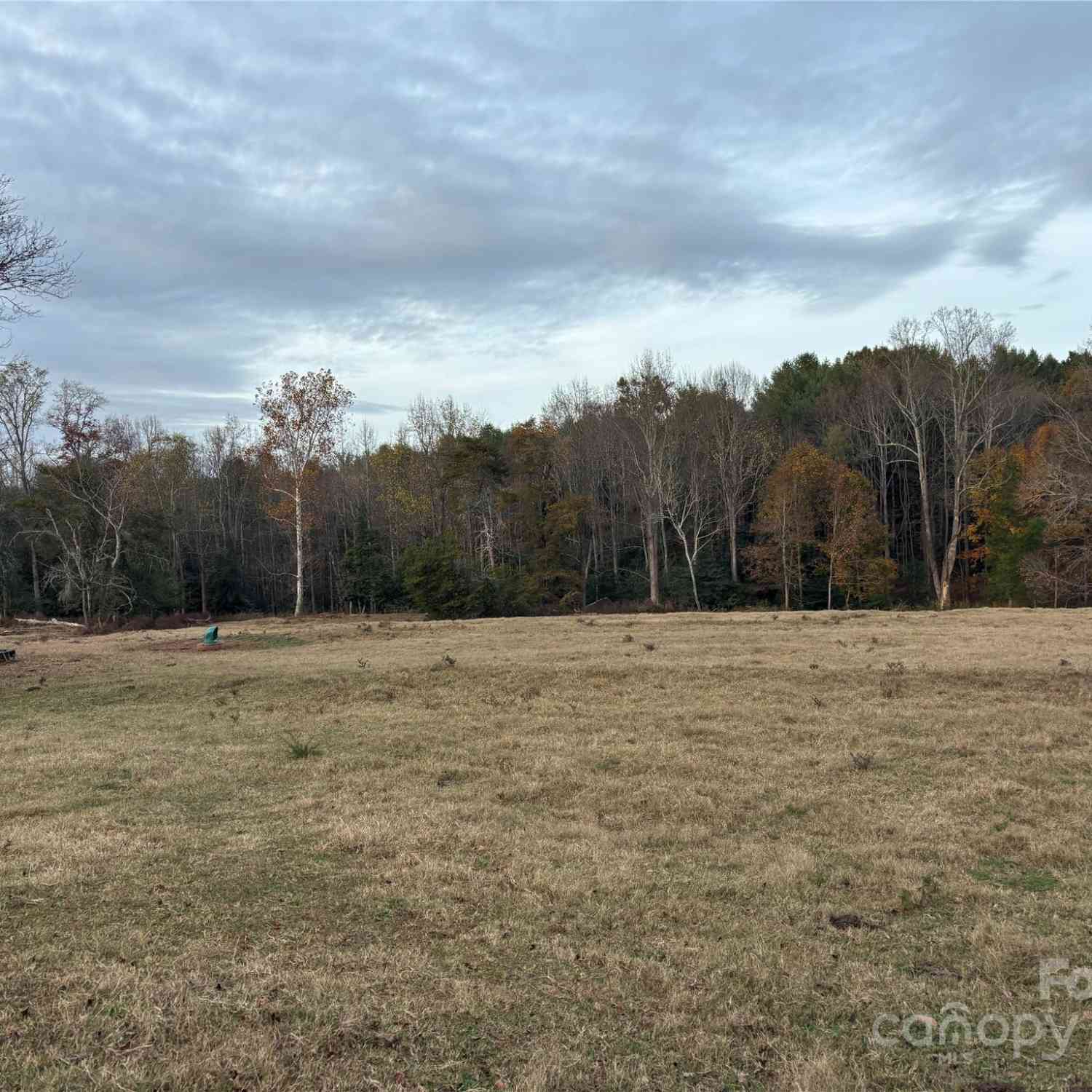 31.19 Acres Boston Road, Taylorsville, North Carolina image 5