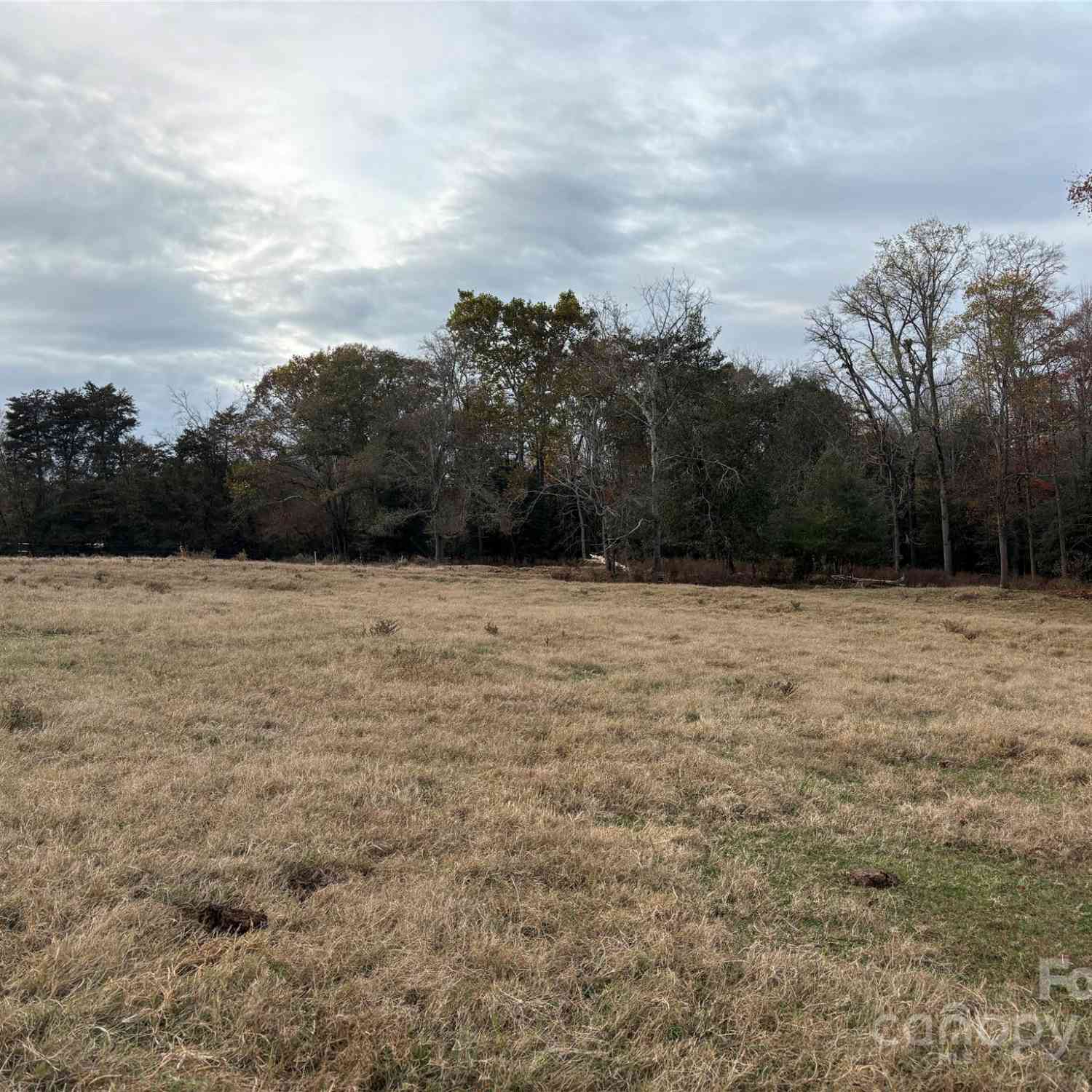 31.19 Acres Boston Road, Taylorsville, North Carolina image 12