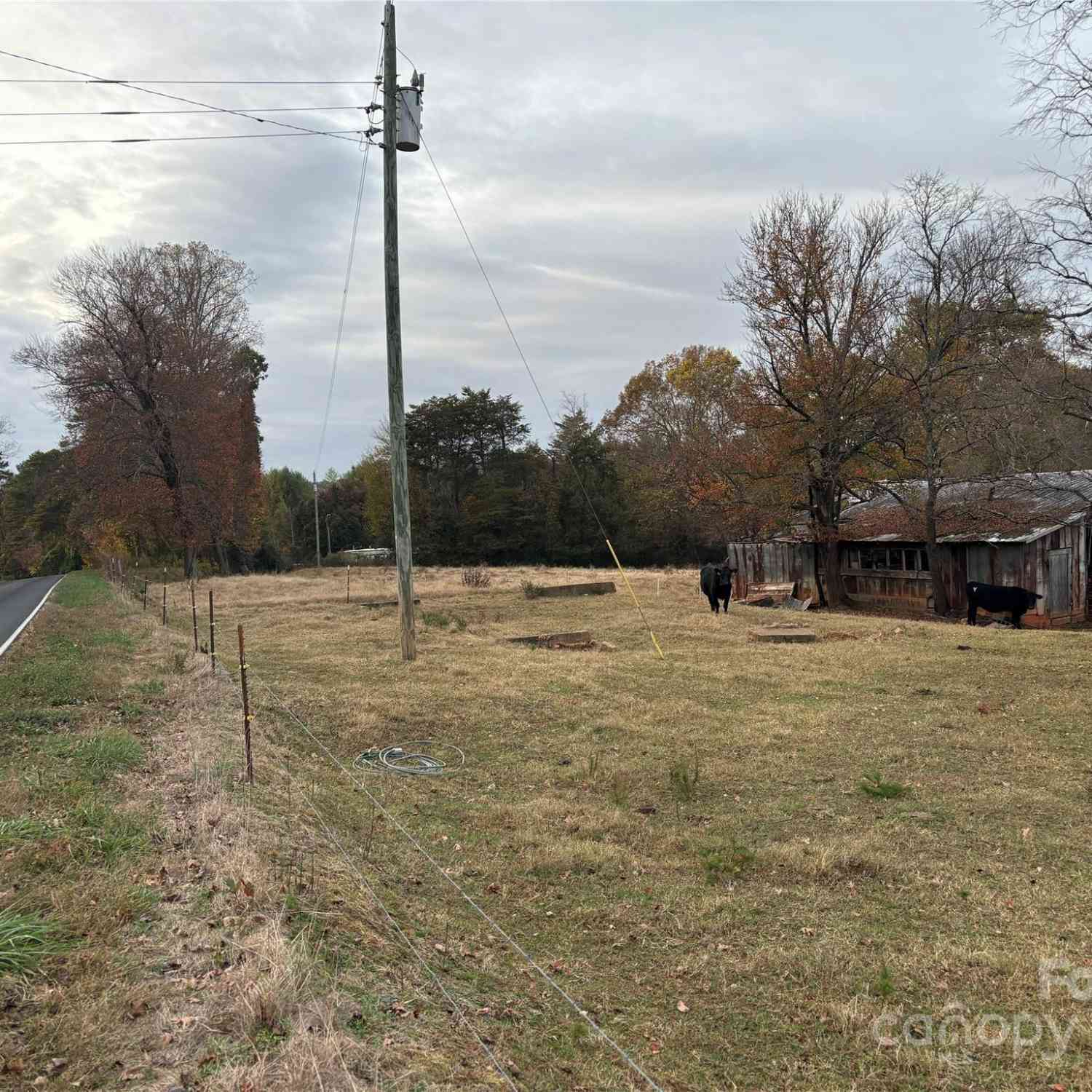 31.19 Acres Boston Road, Taylorsville, North Carolina image 9