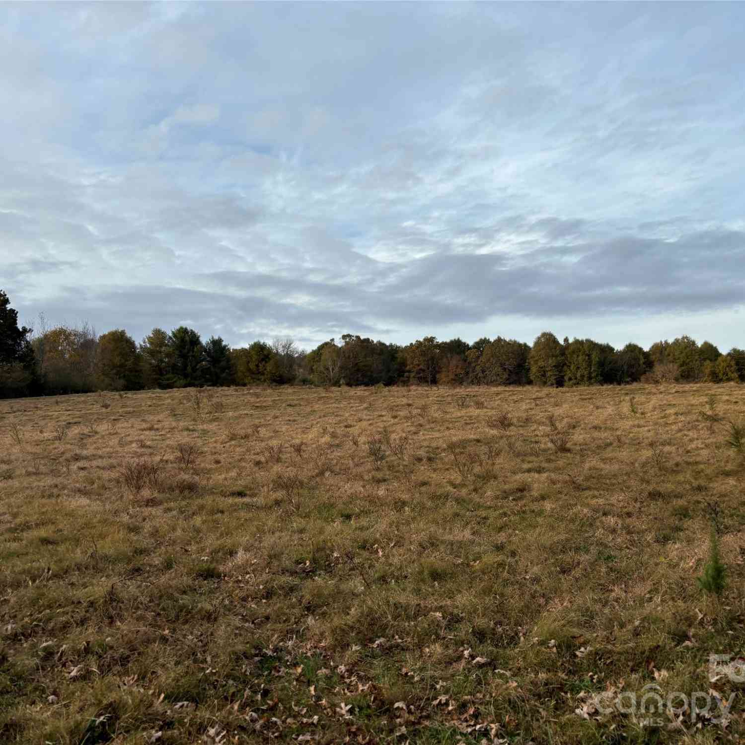 31.19 Acres Boston Road, Taylorsville, North Carolina image 18