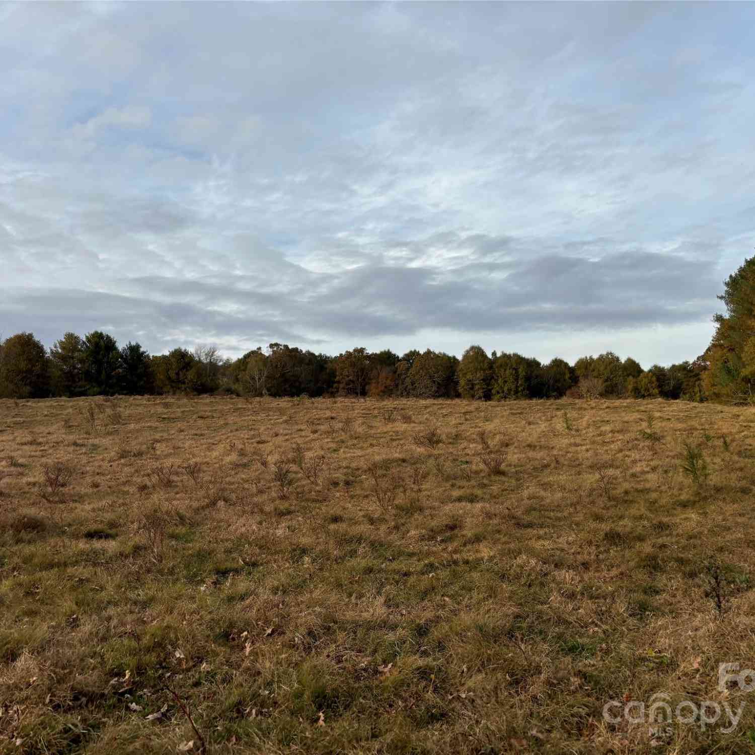 31.19 Acres Boston Road, Taylorsville, North Carolina image 20