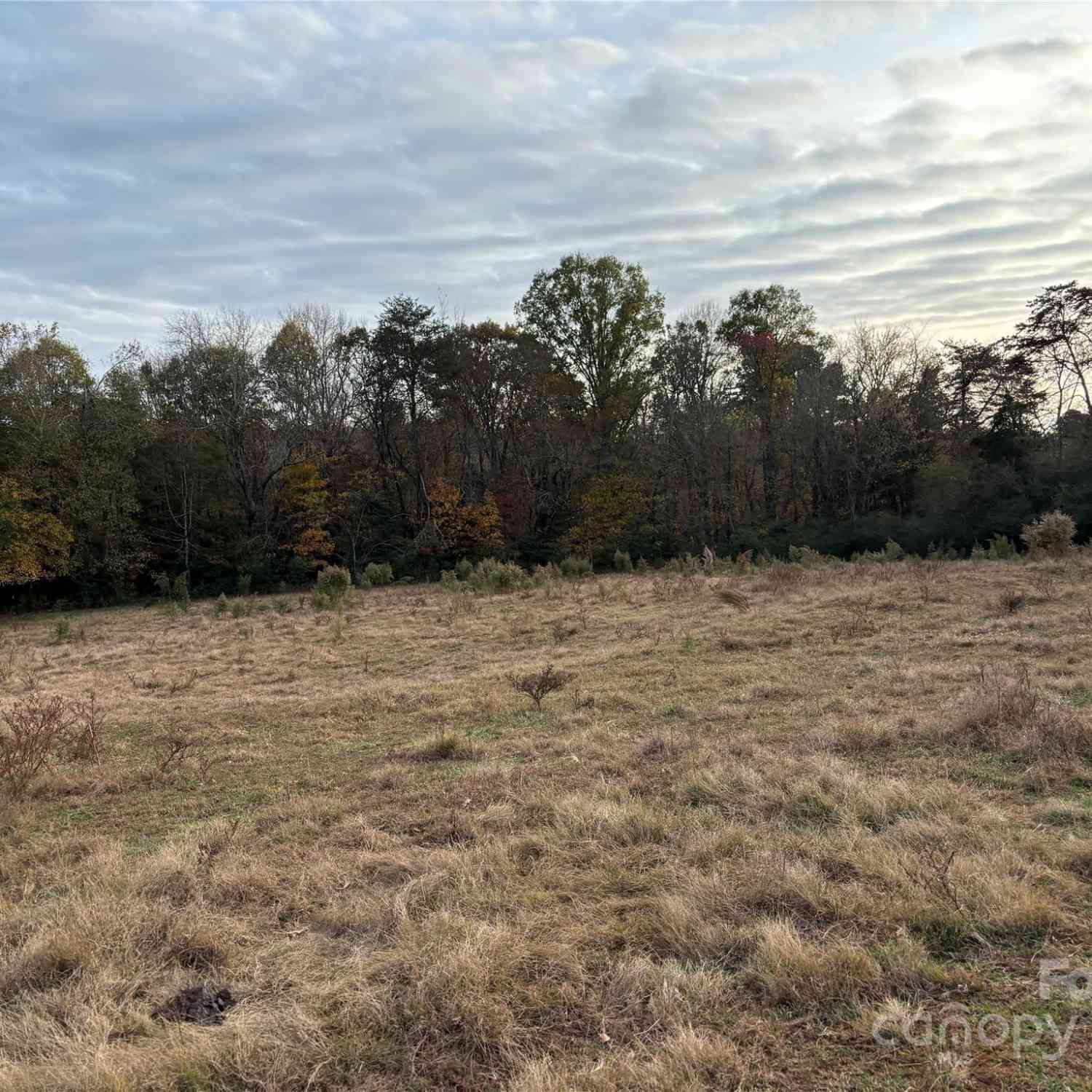 31.19 Acres Boston Road, Taylorsville, North Carolina image 23