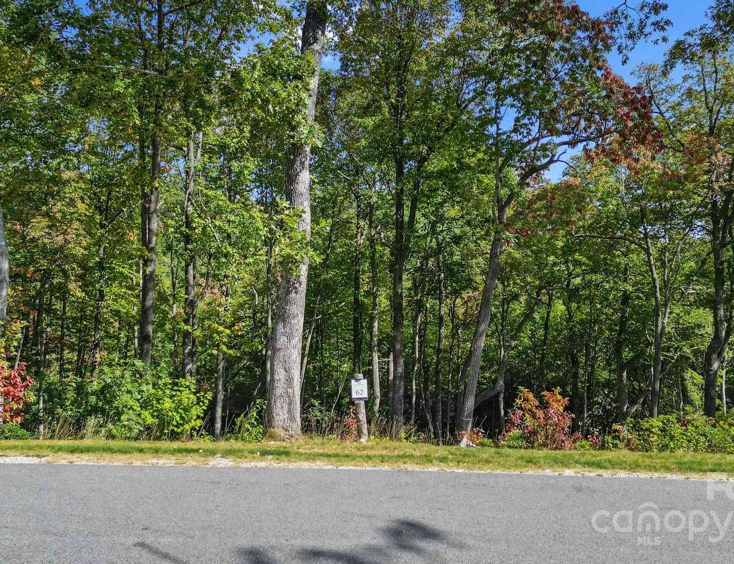 LOT 62 Mountain Grove Lane #62, Fletcher, North Carolina image 2