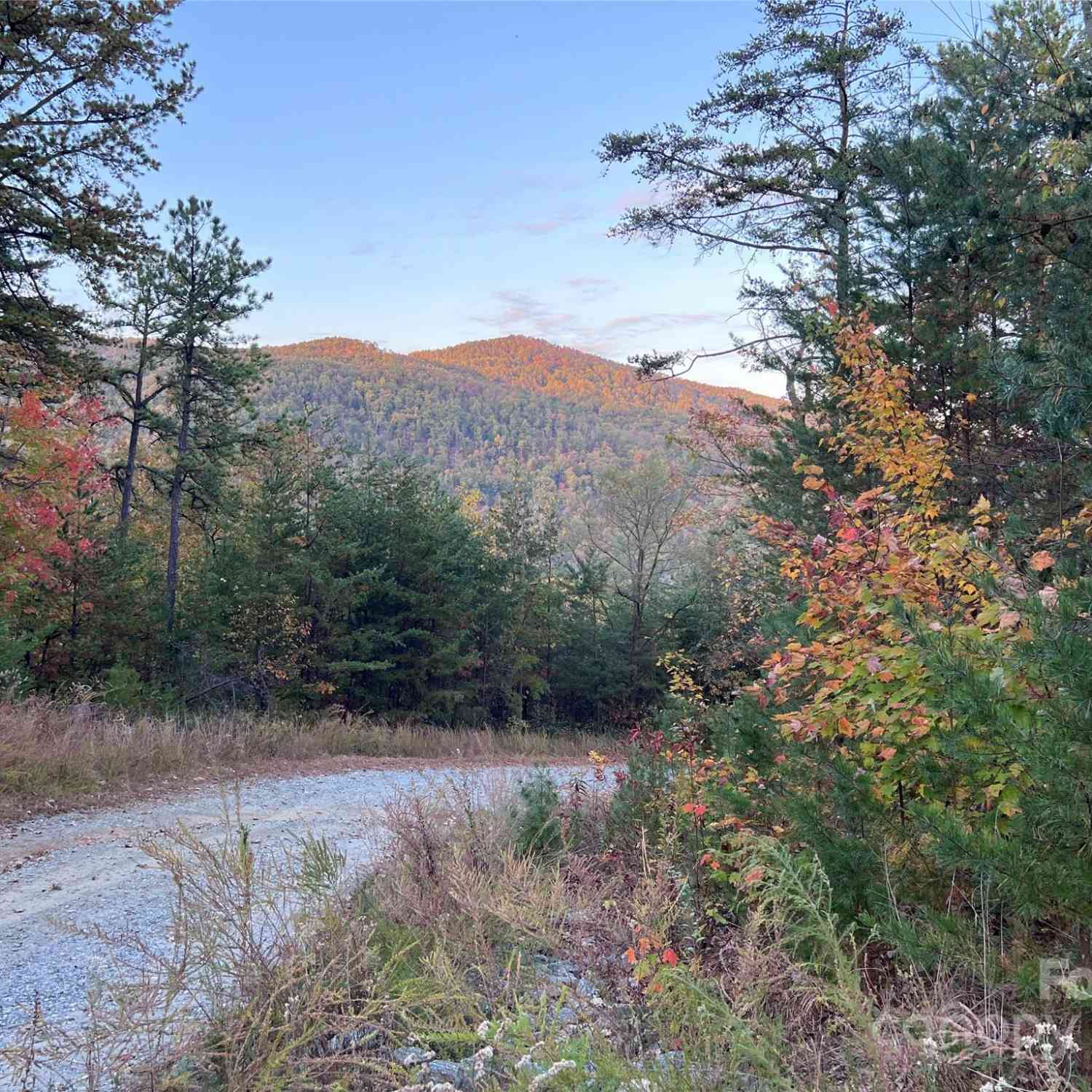 V/L Laurel Branch Drive #22, Lake Lure, North Carolina image 2