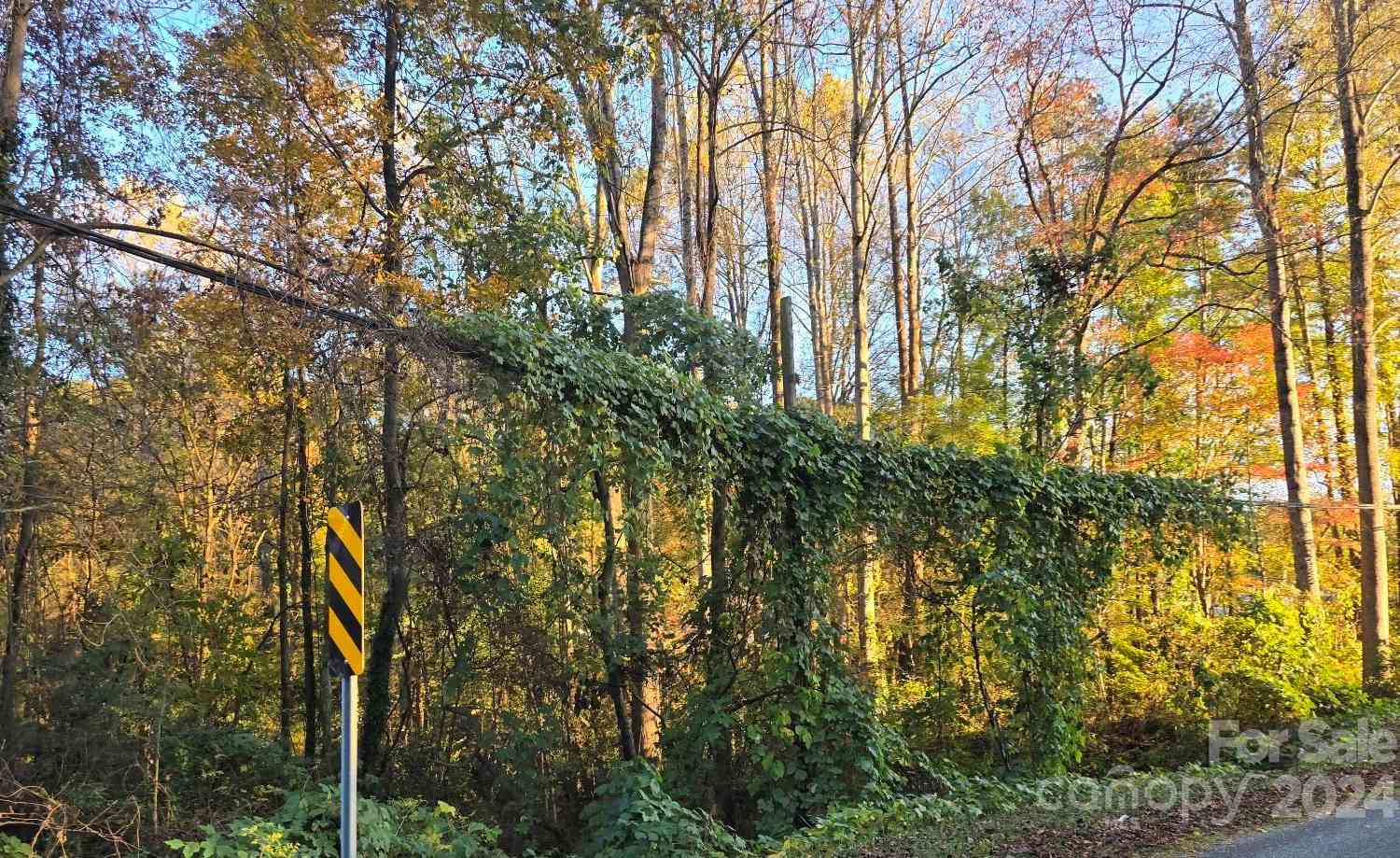 Winona Avenue, Kannapolis, North Carolina image 8