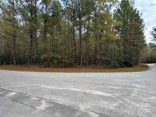 Lot 1 Hudson Road, Summerton, South Carolina image 2