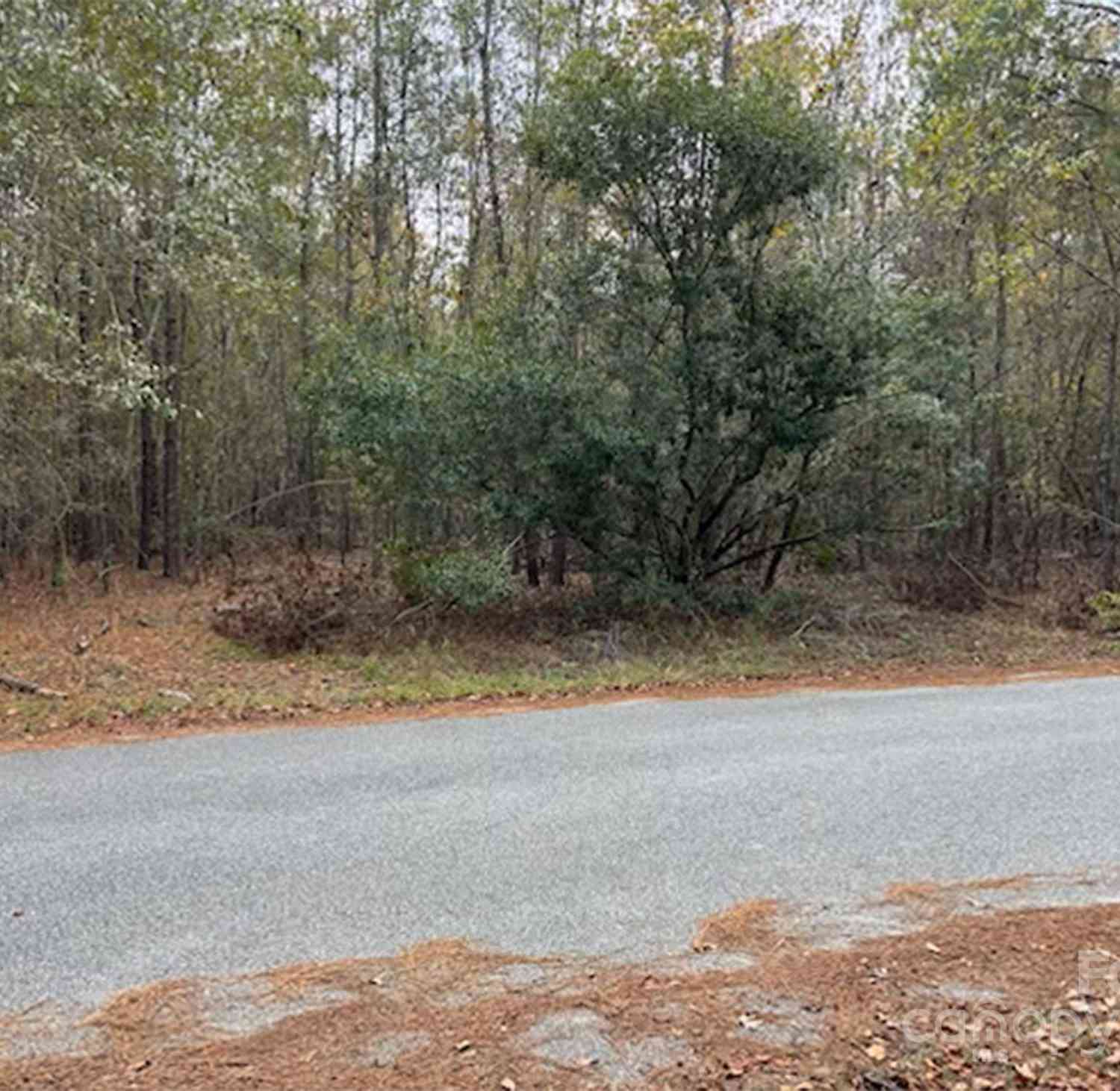 Lot 4 Hudson Road, Summerton, South Carolina image 2