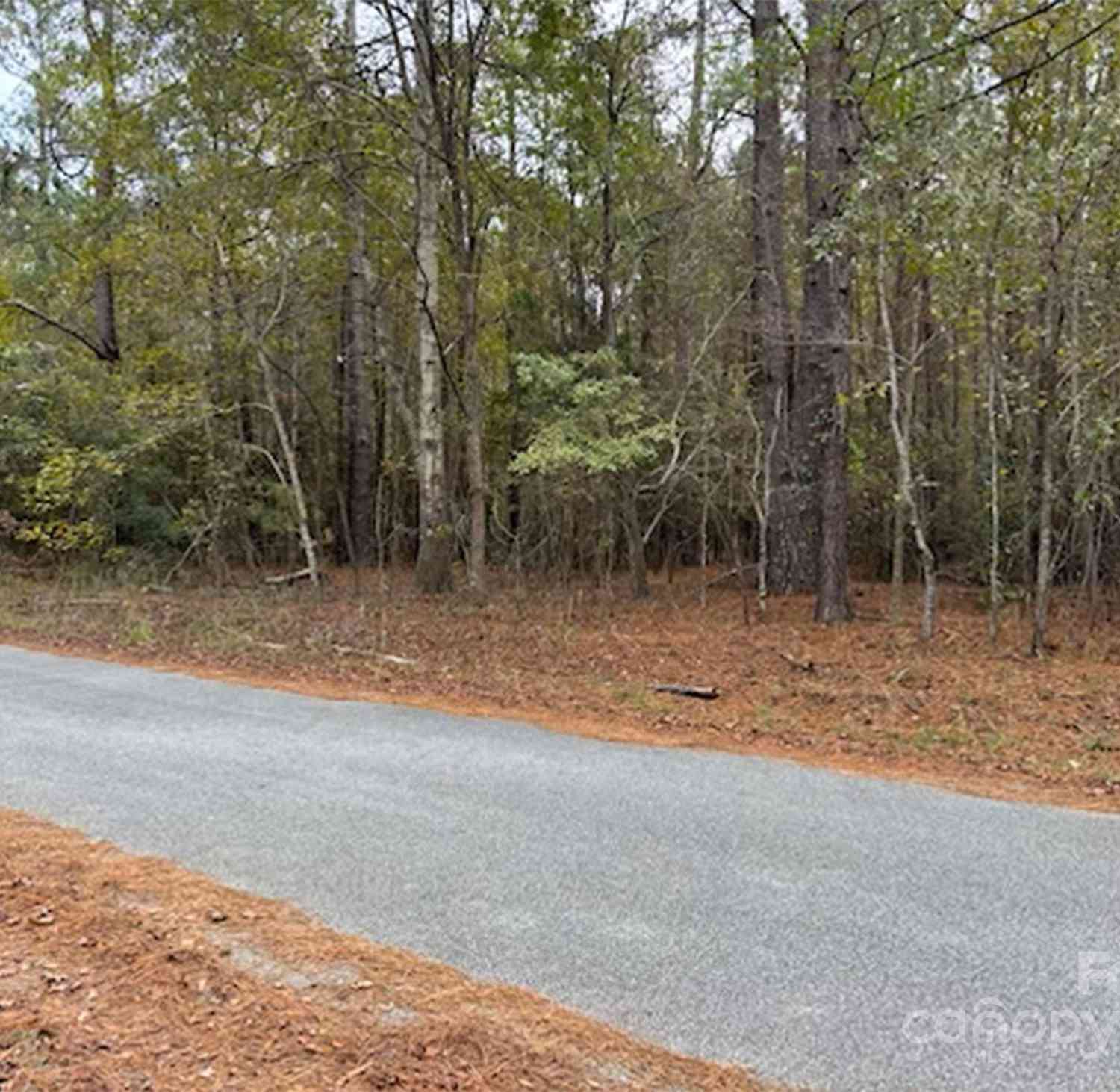 Lot 4 Hudson Road, Summerton, South Carolina image 3