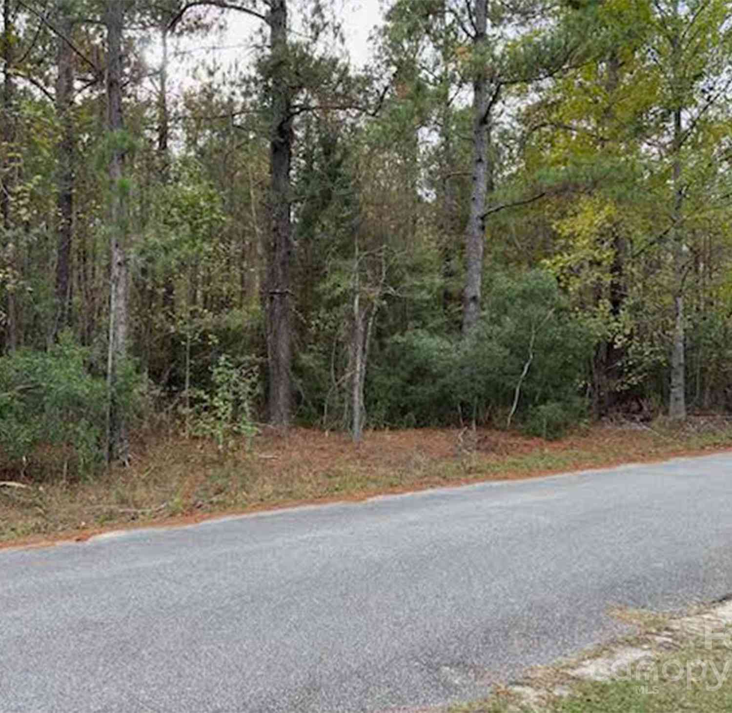 Lot 5 Hudson Road, Summerton, South Carolina image 2