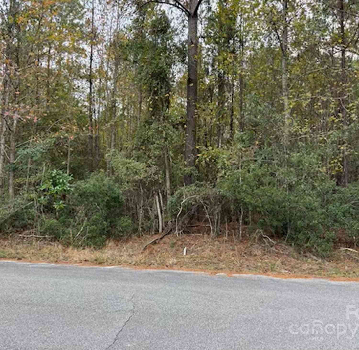 Lot 5 Hudson Road, Summerton, South Carolina image 3