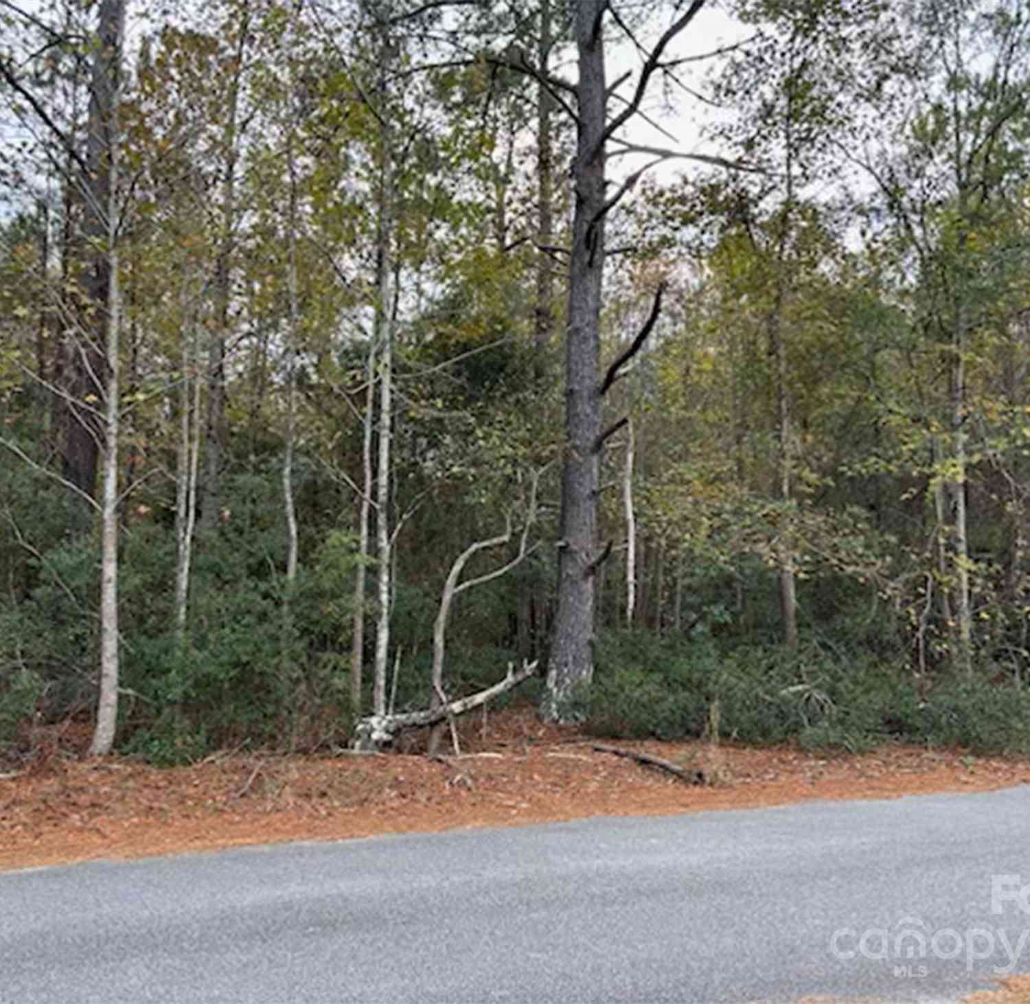 Lot 6 Hudson Road, Summerton, South Carolina image 2