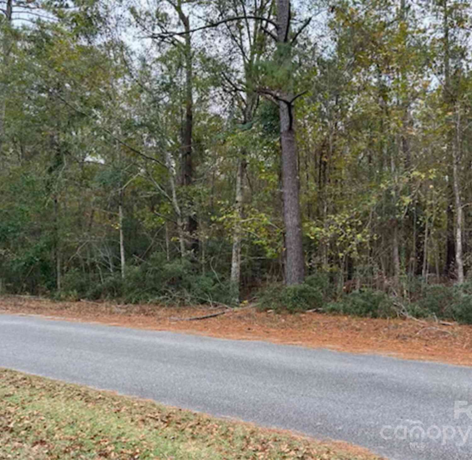 Lot 6 Hudson Road, Summerton, South Carolina image 3