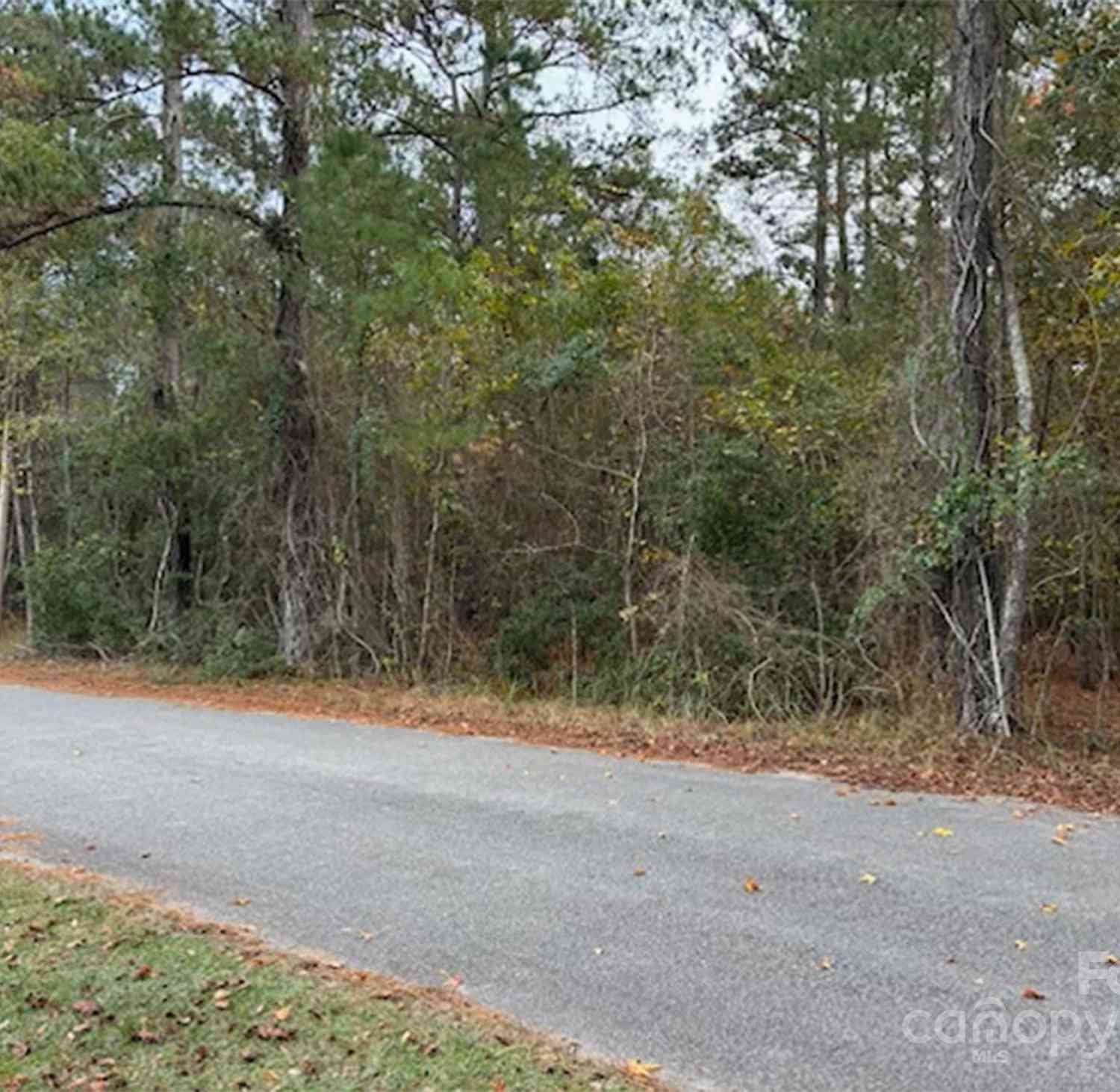 Lot 7 Hudson Road, Summerton, South Carolina image 2