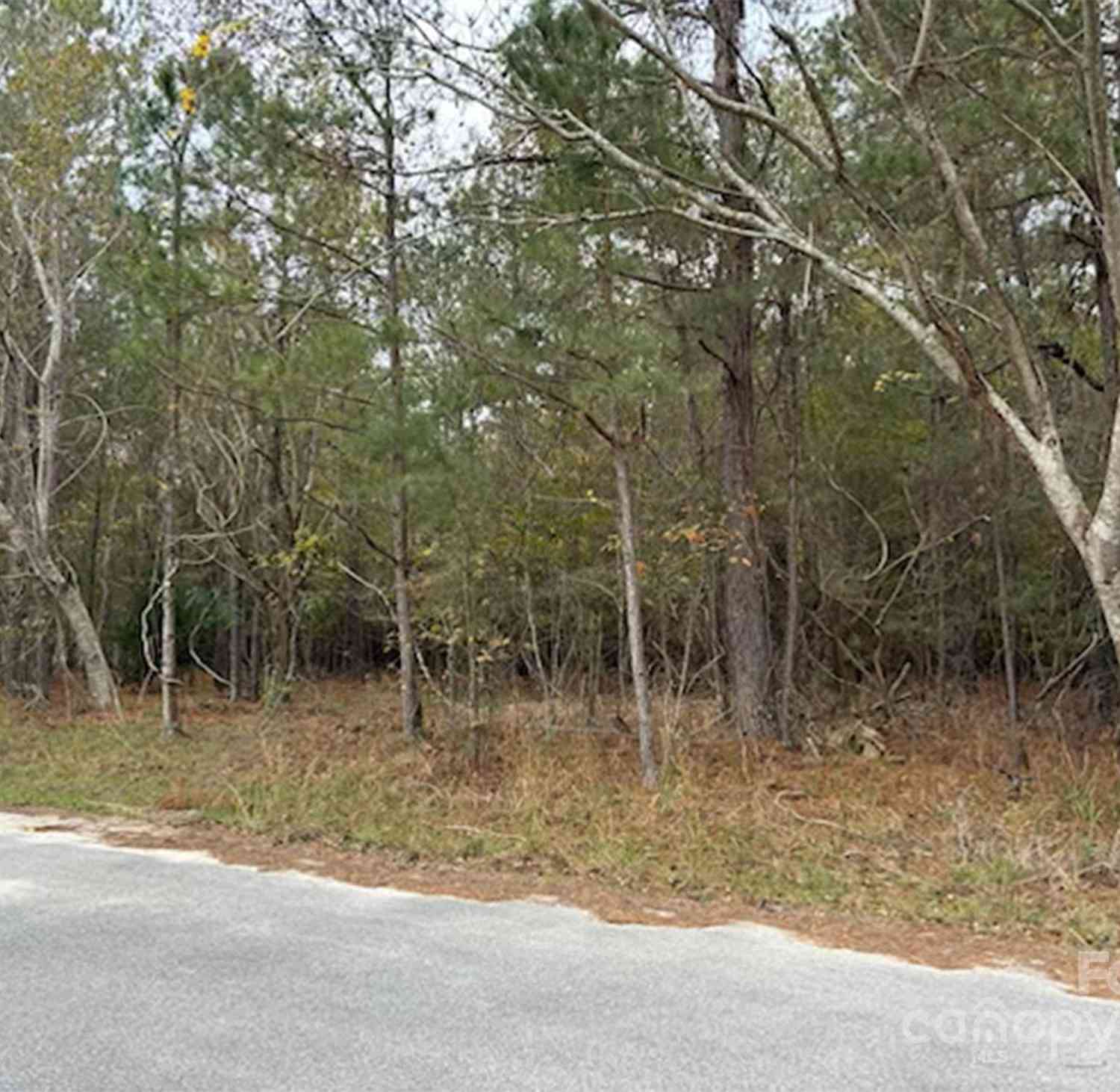 Lot 8 Hudson Road, Summerton, South Carolina image 3