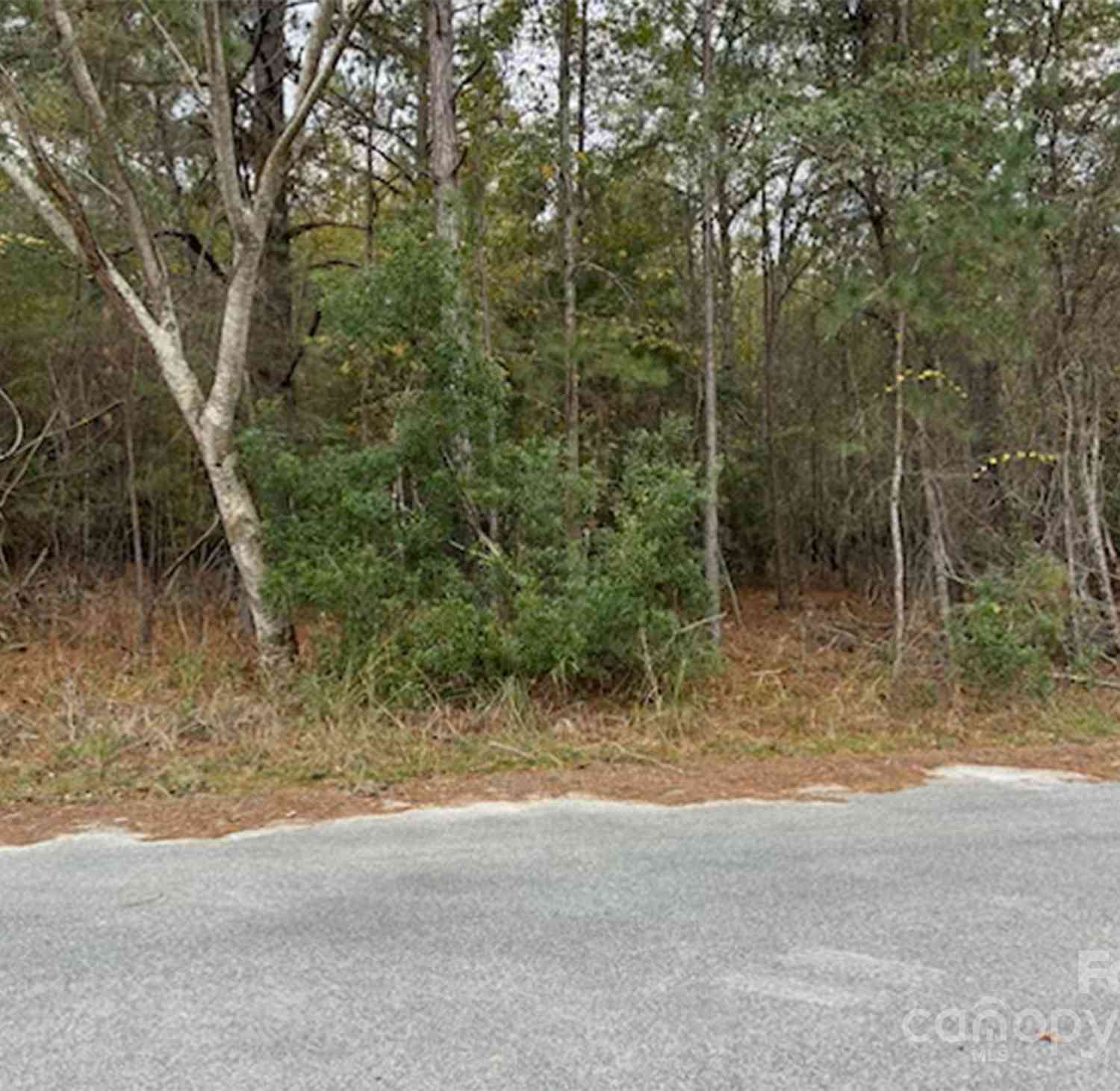 Lot 8 Hudson Road, Summerton, South Carolina image 2