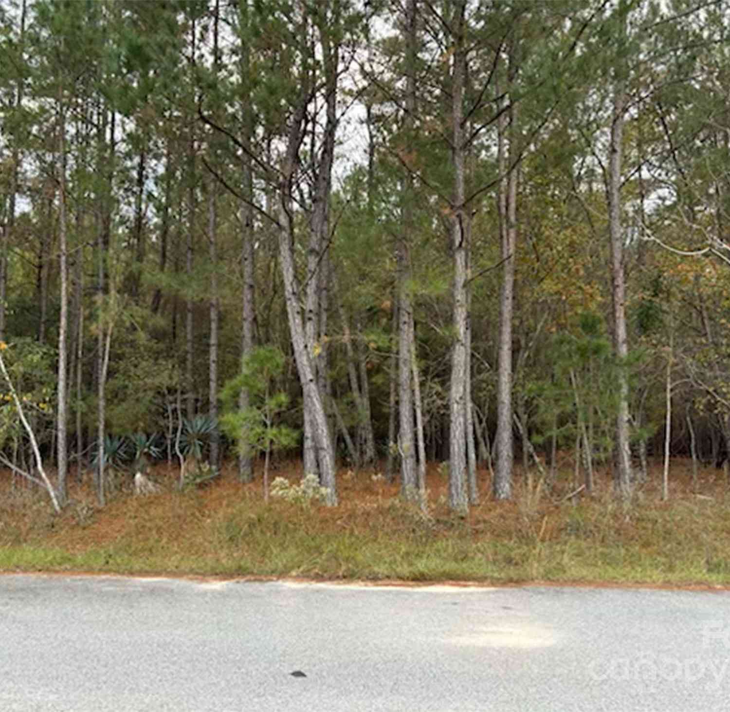 Lot 9 Hudson Road, Summerton, South Carolina image 3