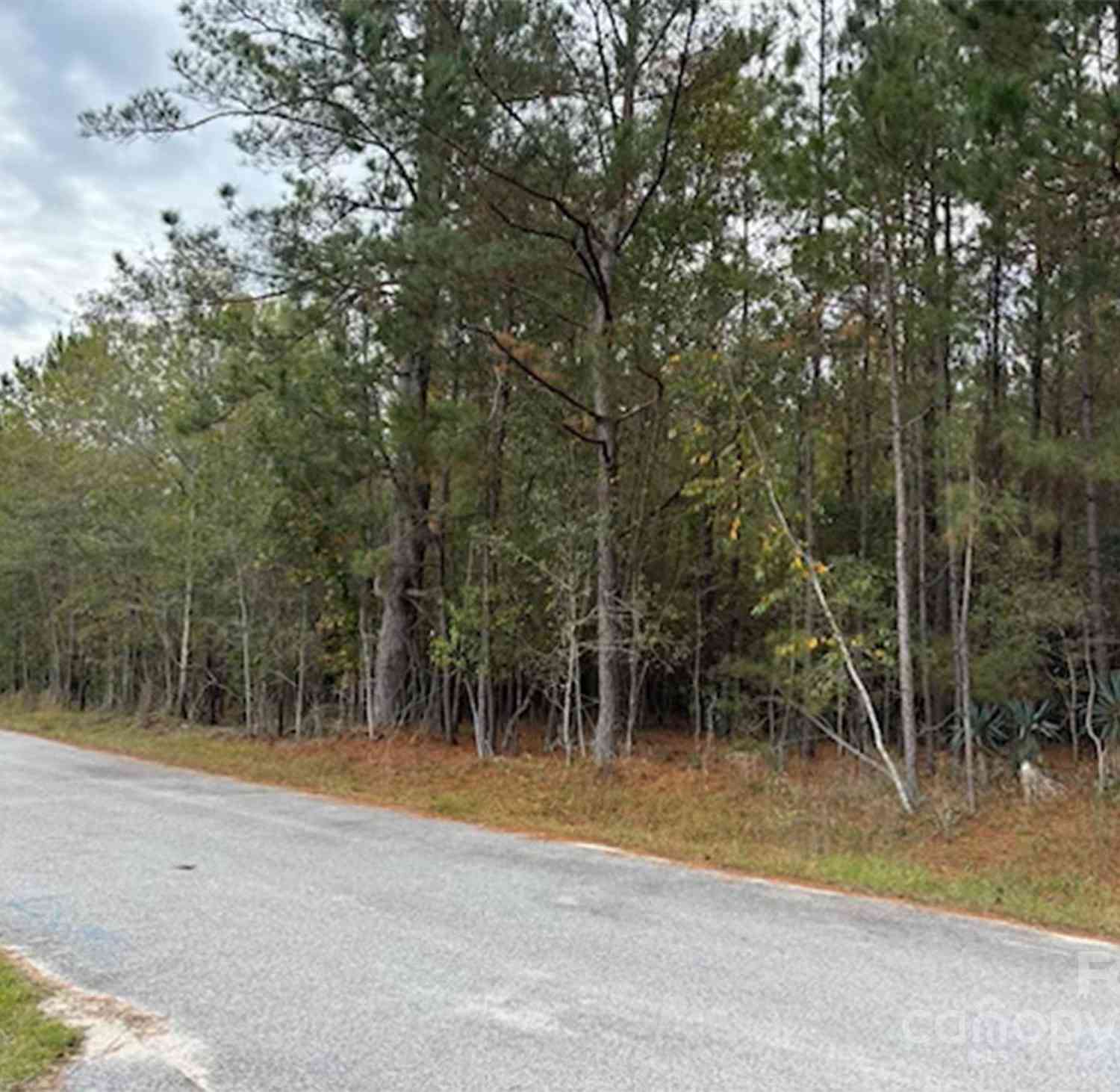 Lot 9 Hudson Road, Summerton, South Carolina image 2