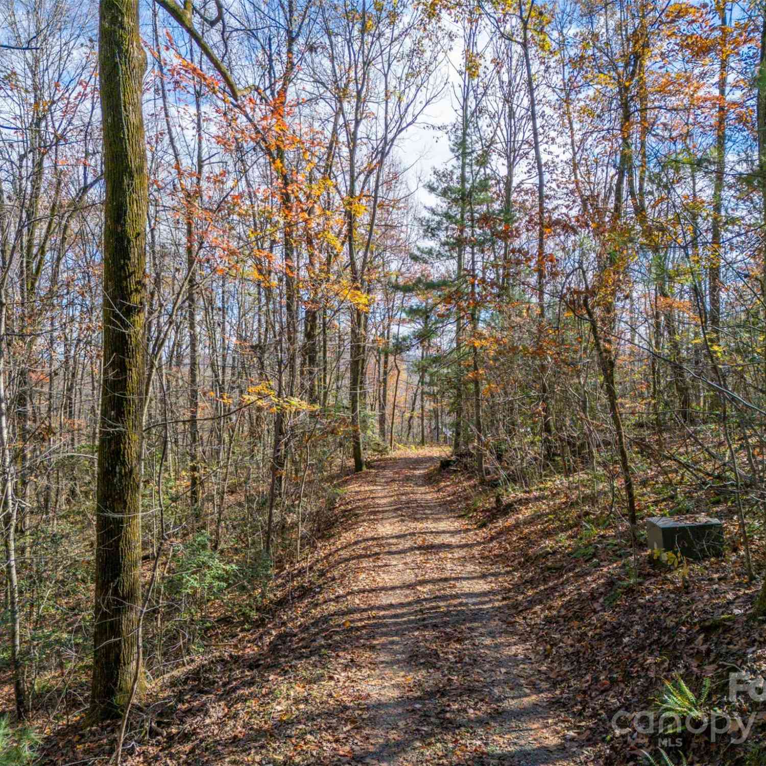 103 Orchard Mountain Road, Saluda, North Carolina image 31